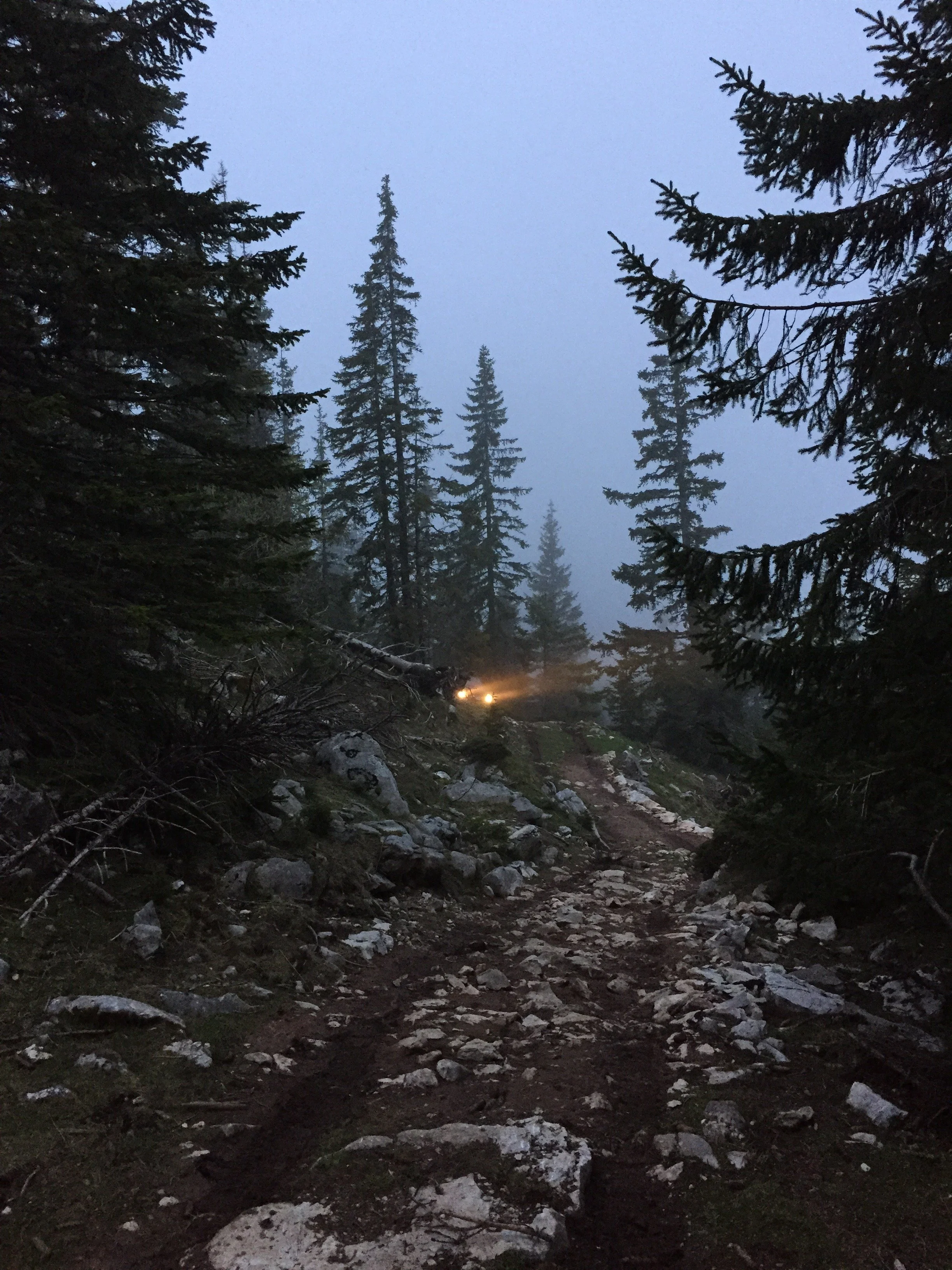 Dusk or dawn in a forest with tall pine trees and a rocky, uneven dirt trail. Faint fog or mist is visible, and there is a small, distant light illuminating the trail.