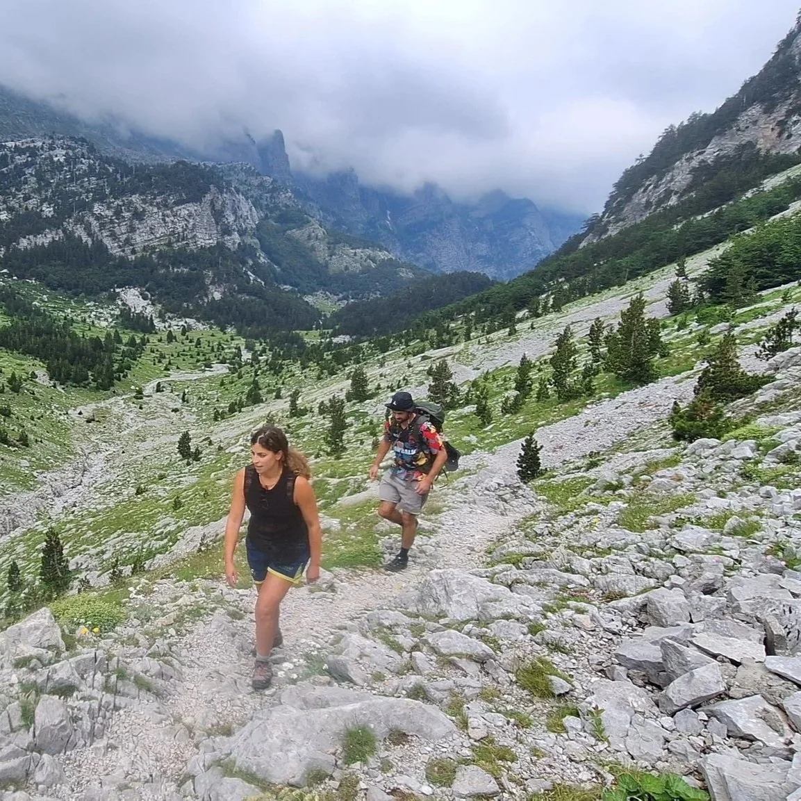 Three hikers with hats and backpacks walking on a trail through grassy meadow surrounded by trees with mountains in the background.