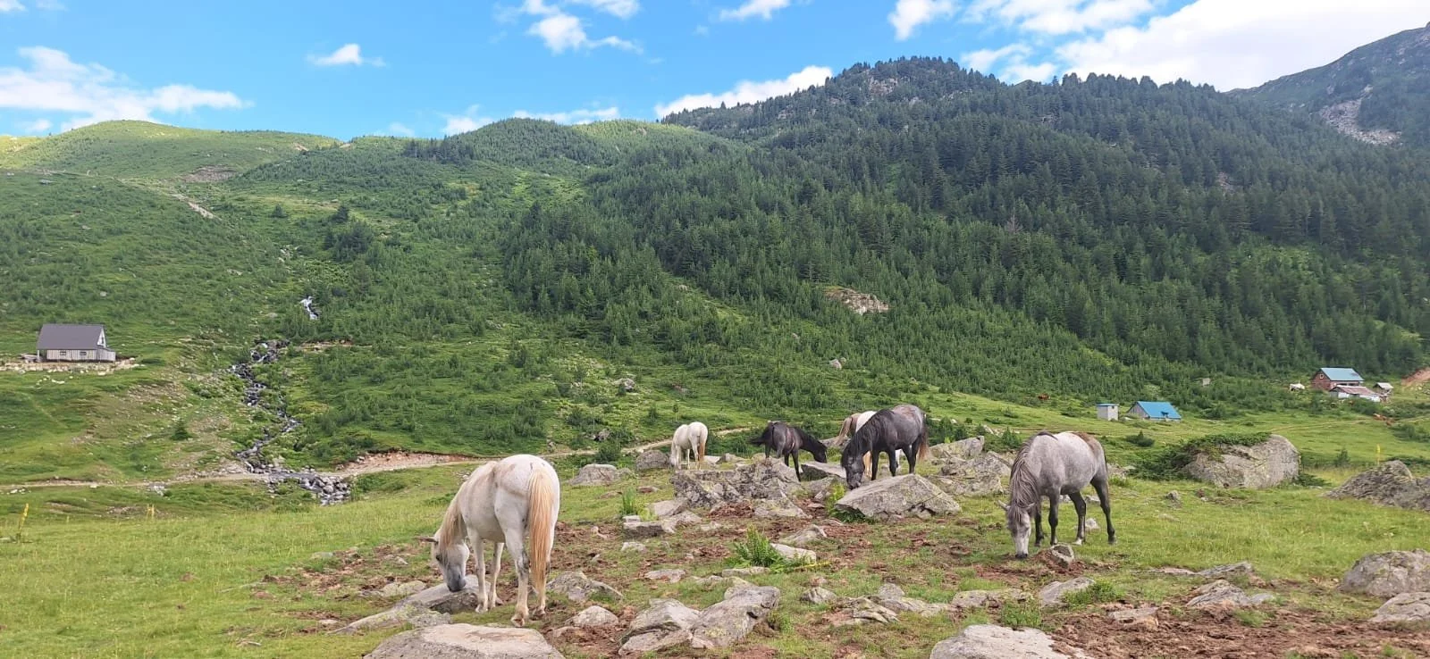 Hajla Cabin Base Camp - Excursion 2 - Highlander Hospitality and Shepherd Cultural Immersion