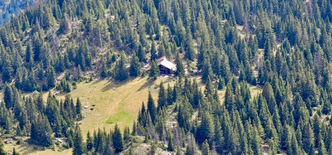 A cabin on a grassy hillside surrounded by dense pine forest in a mountainous area.