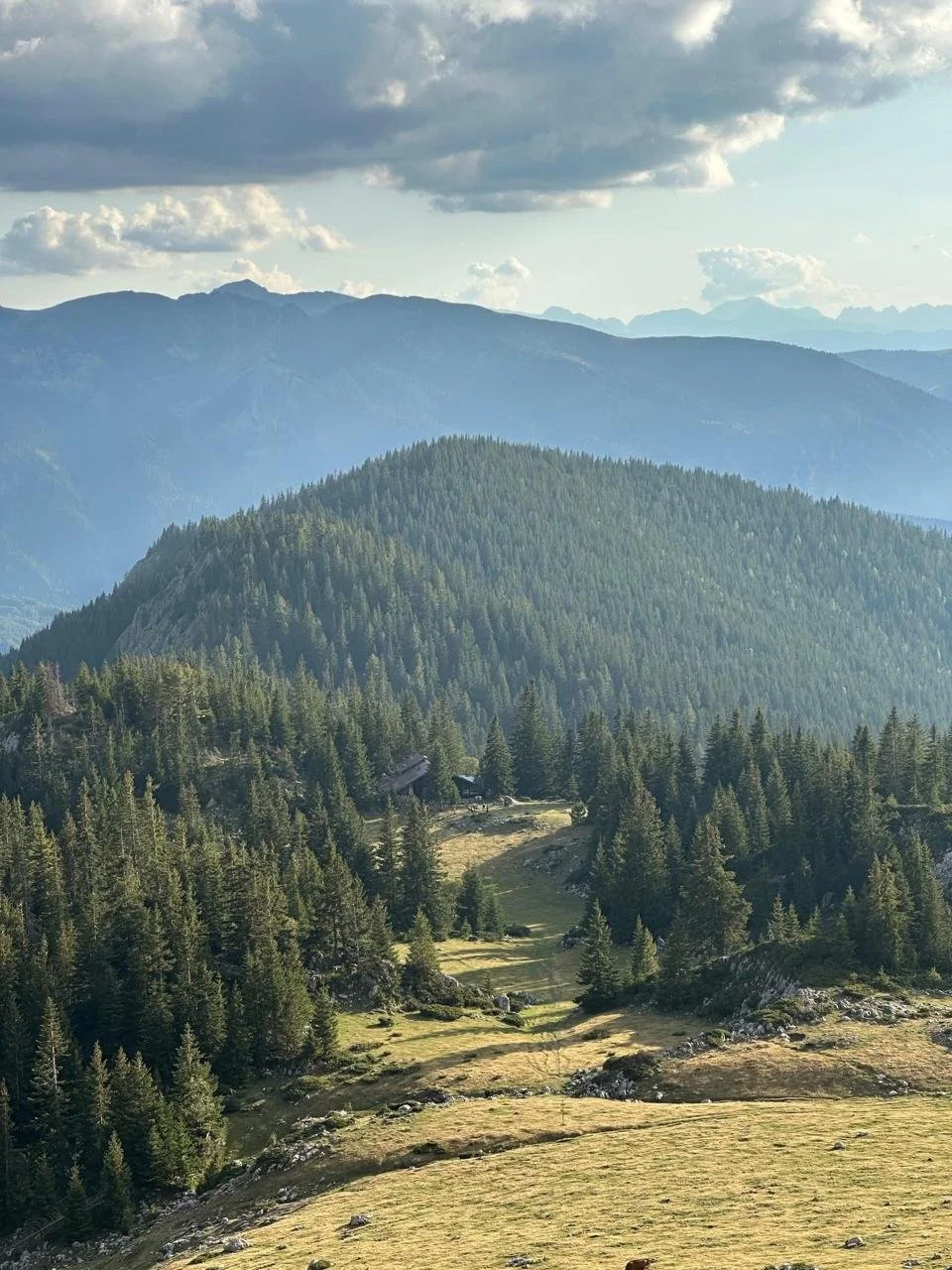 A mountain landscape with green pine trees on hills and valleys, distant mountains in the background, and a partly cloudy sky overhead.
