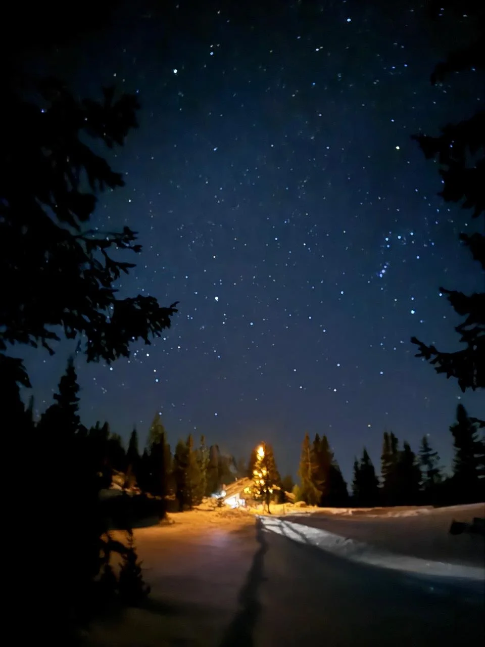 Nighttime view of a snow-covered landscape with trees and a small house with lights on, under a starry sky.