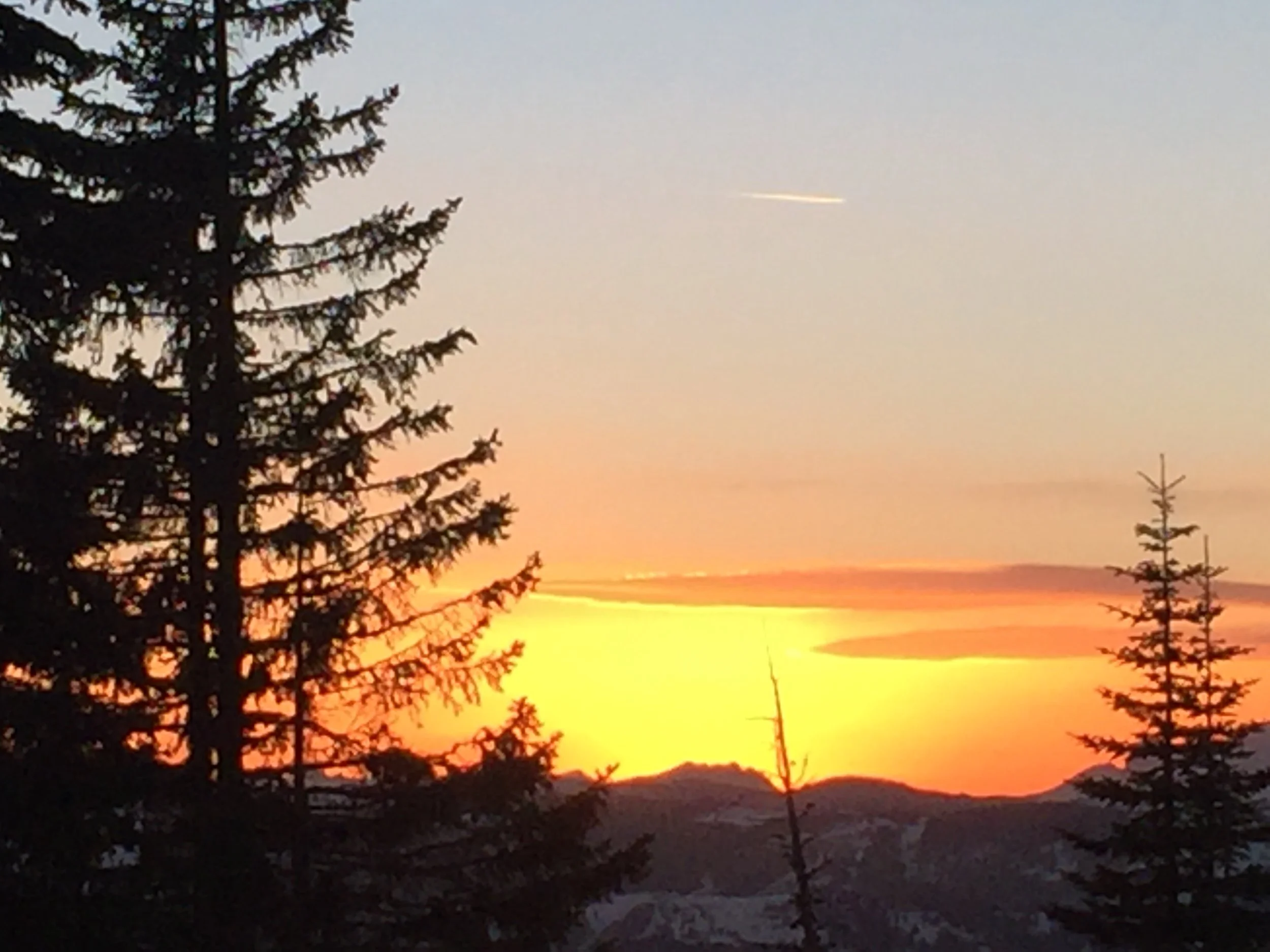 A sunset or sunrise scene with a dark silhouette of pine trees in the foreground and a colorful sky with shades of orange, pink, and yellow.