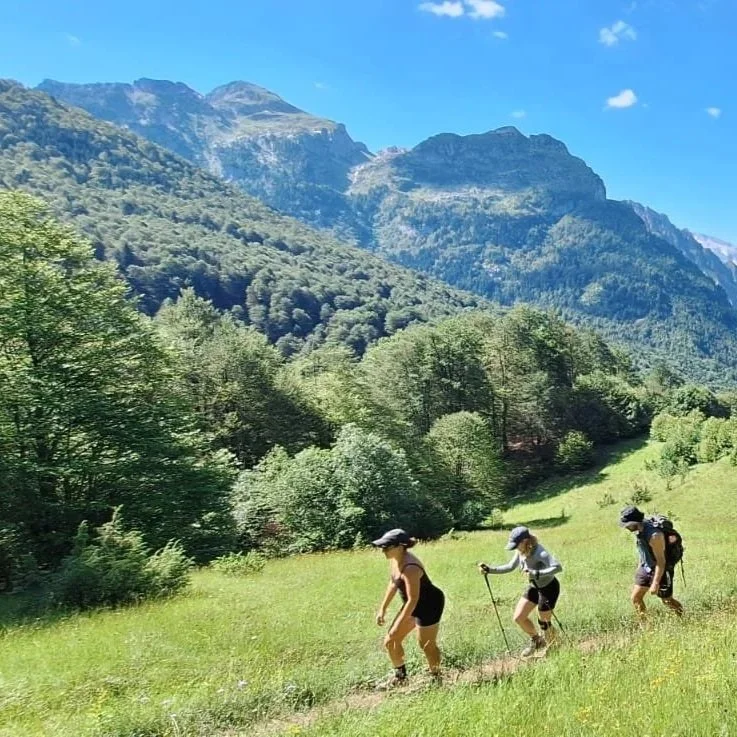 Three hikers with hats and backpacks walking on a trail through grassy meadow surrounded by trees with mountains in the background.