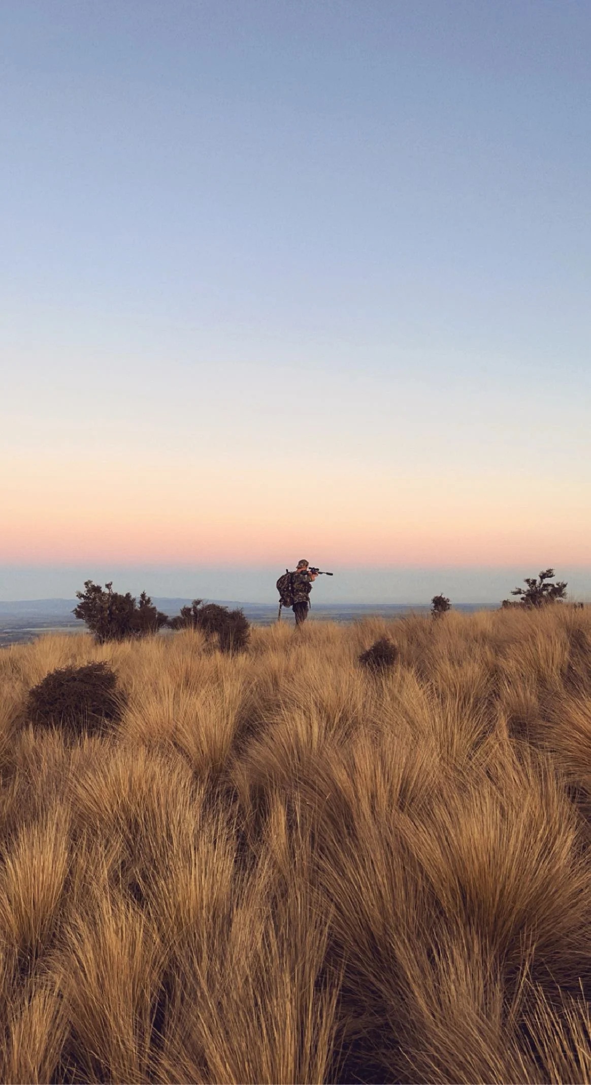 A person wearing camouflage clothing and carrying a backpack standing in a field of tall, tussock, glassing a hillside with a firearm, soft pastel colors at sunset or sunrise.