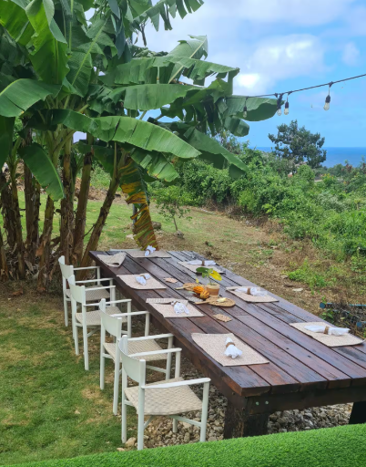 An outdoor dining table set for a meal with six chairs under banana trees, with a view of greenery and the ocean in the background, and string lights overhead.