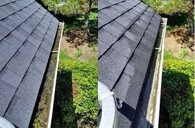 Gutter Cleaning