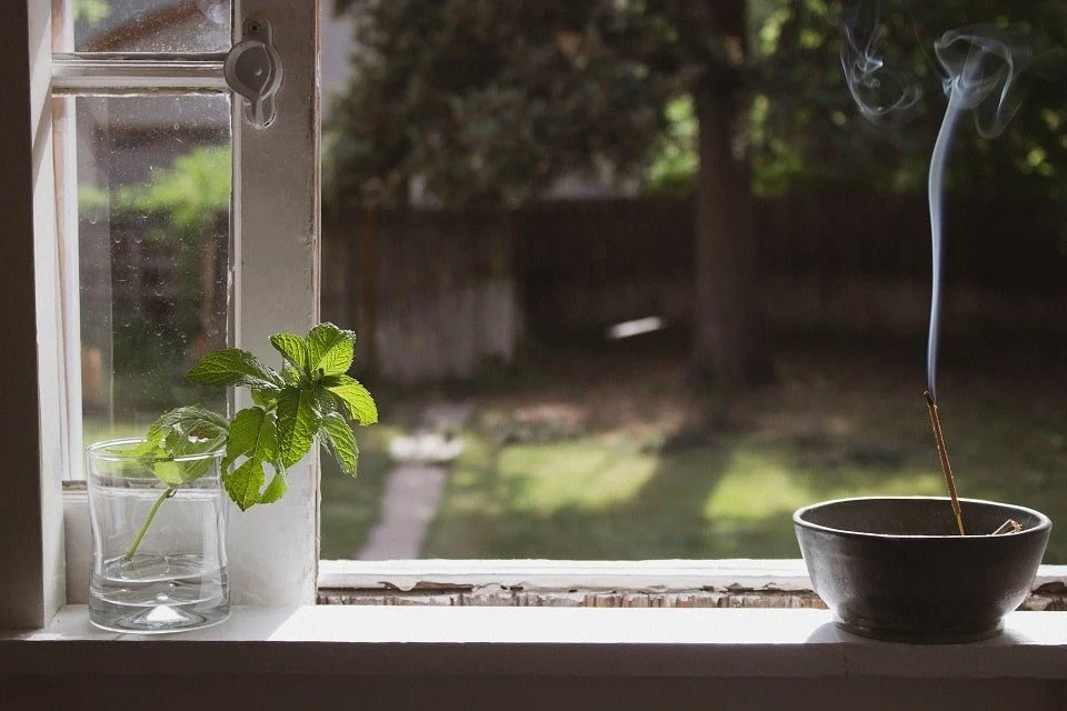mint sprig in a glass of water and incense on a windowsill