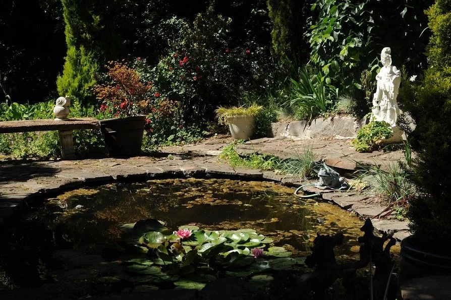 Water feature with pond lilies