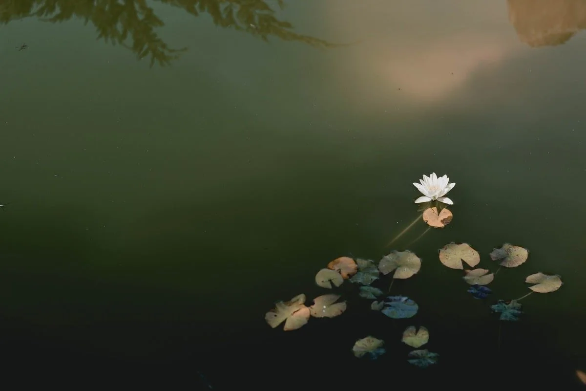 Change and Beauty
