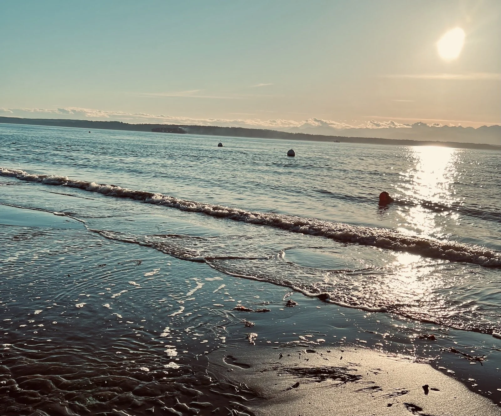Maxwelton Beach March 2025