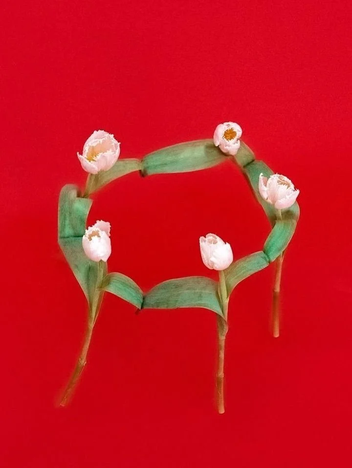 A chair made from green leaves and small white flowers, set against a red background.
