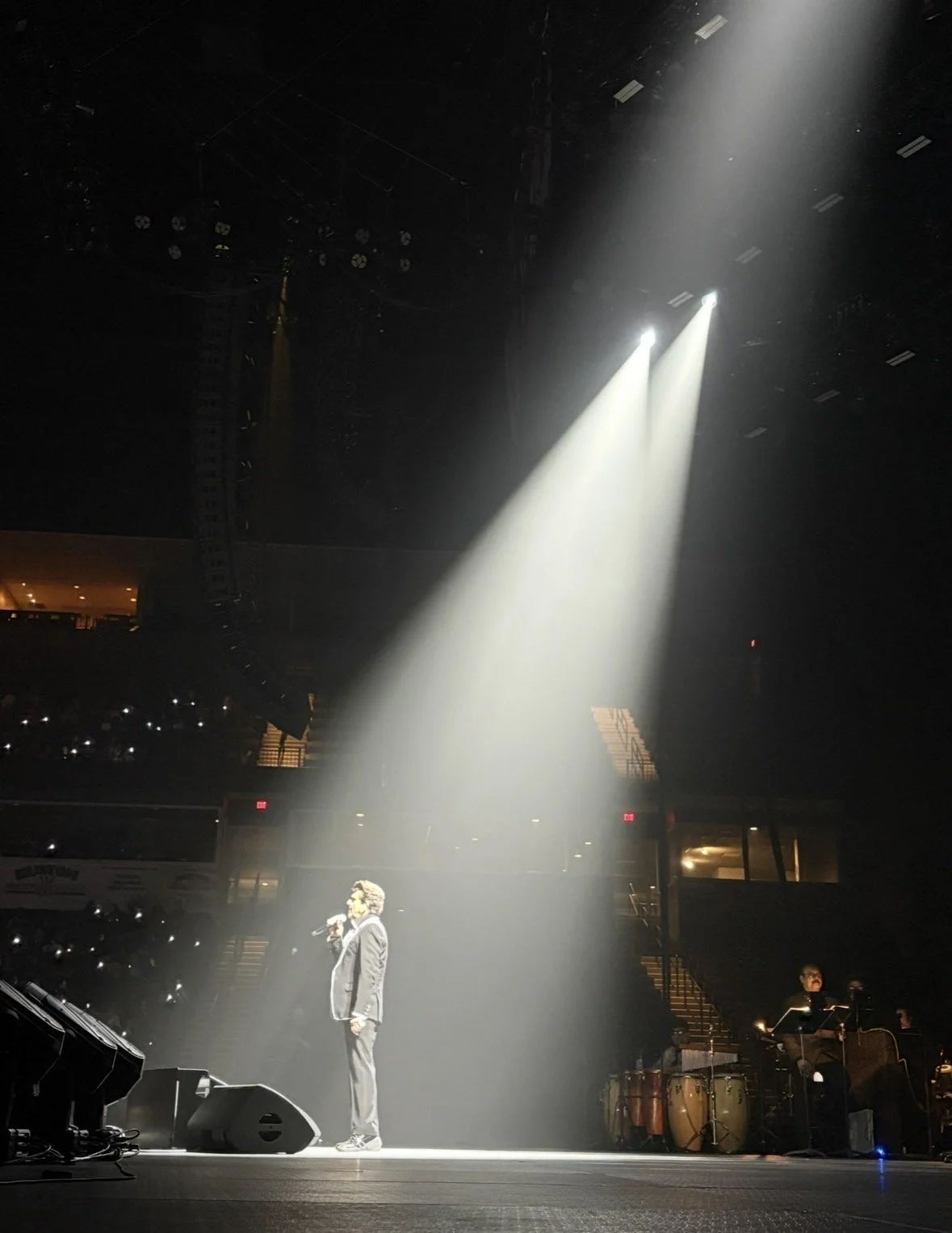 A singer performing on stage with a spotlight on them, accompanied by musicians and percussion instruments, in a dark concert hall.