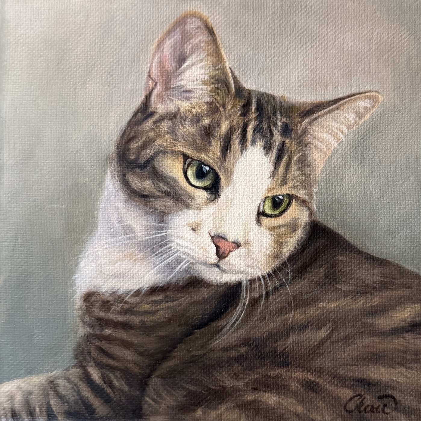 Willie the Tabby Cat Portrait in oil by Cherie Dimsey