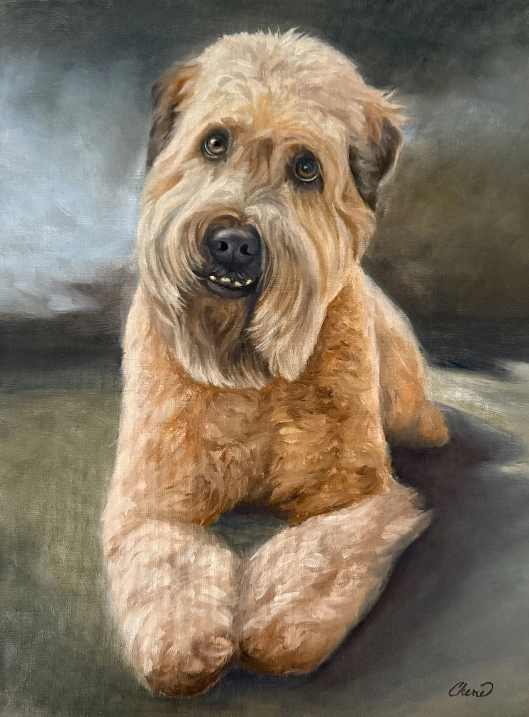 Dexter the Golden Doodle painted in oil by Cherie Dimsey