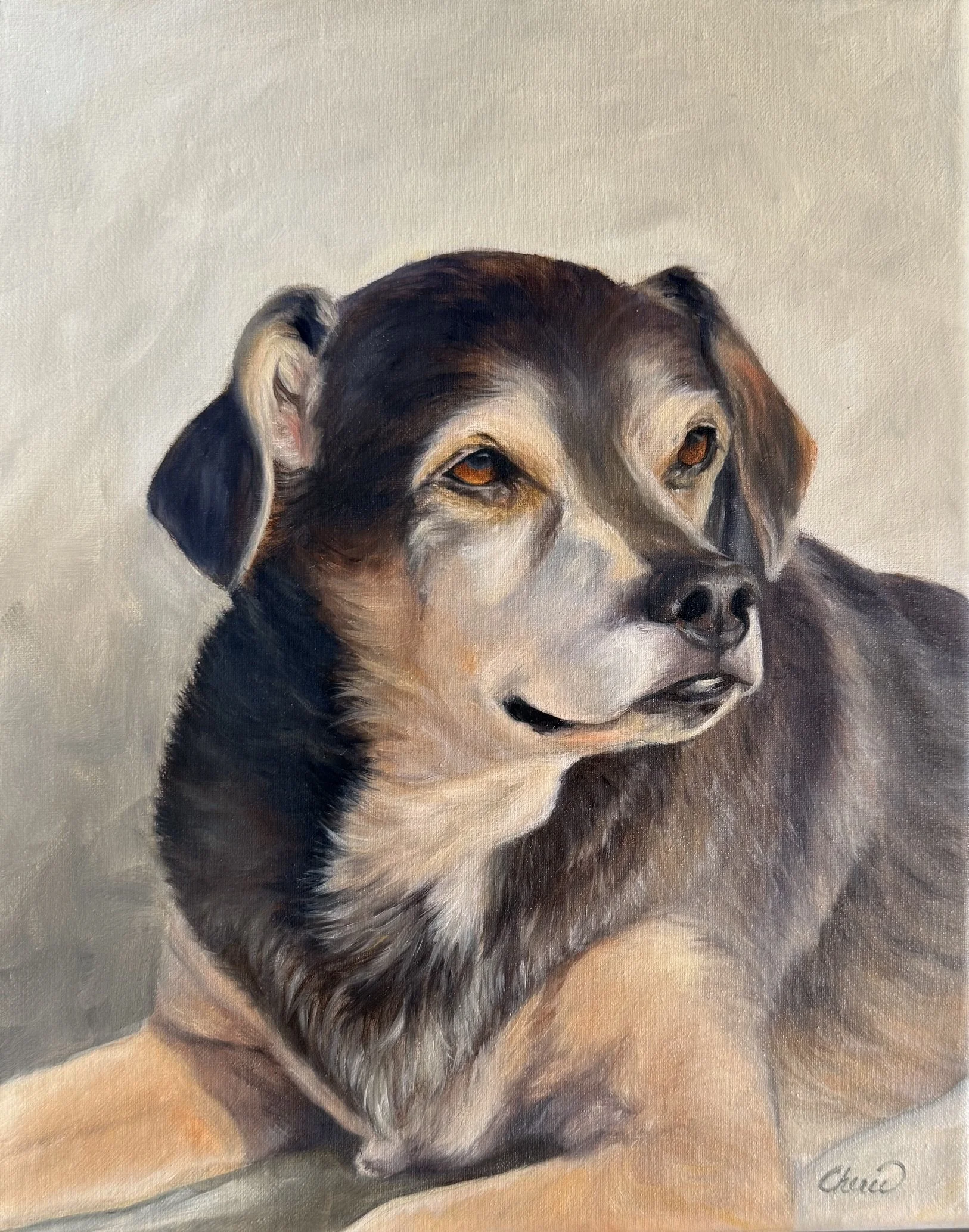 Custom oil portrait of a black and tan mixed-breed dog painted in a classical style by Cherie Dimsey