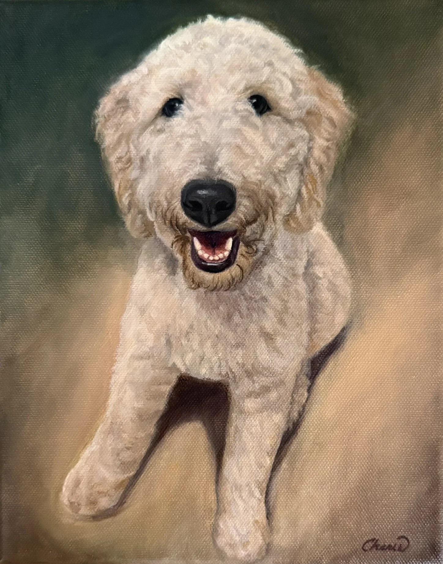 Russel the Labradoodle Dog portrait painted in oil by Cherie Dimsey