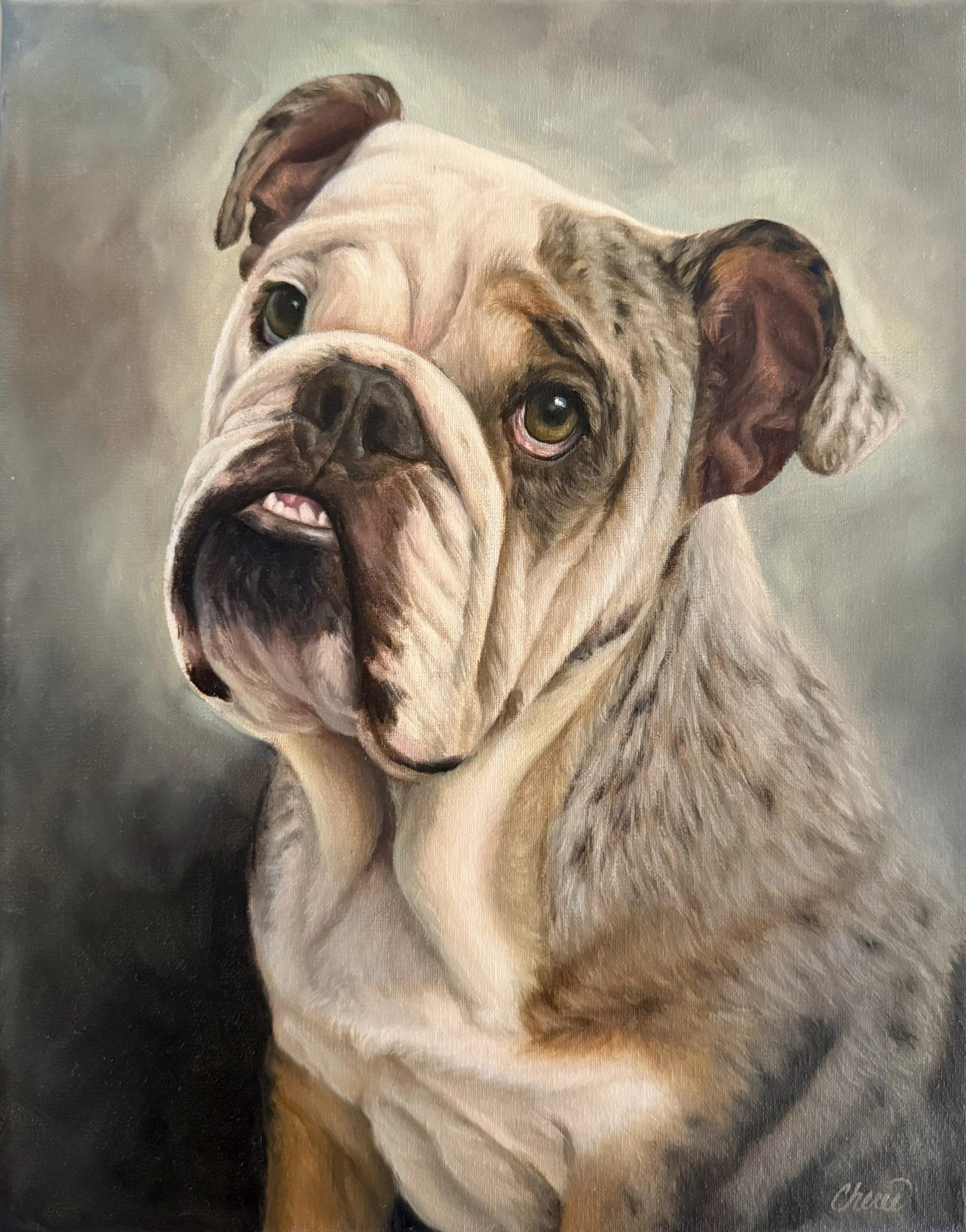 Custom Oil painting of a English Bulldog portrait by Cherie Dimsey featuring realistic detail and classical fine art styling