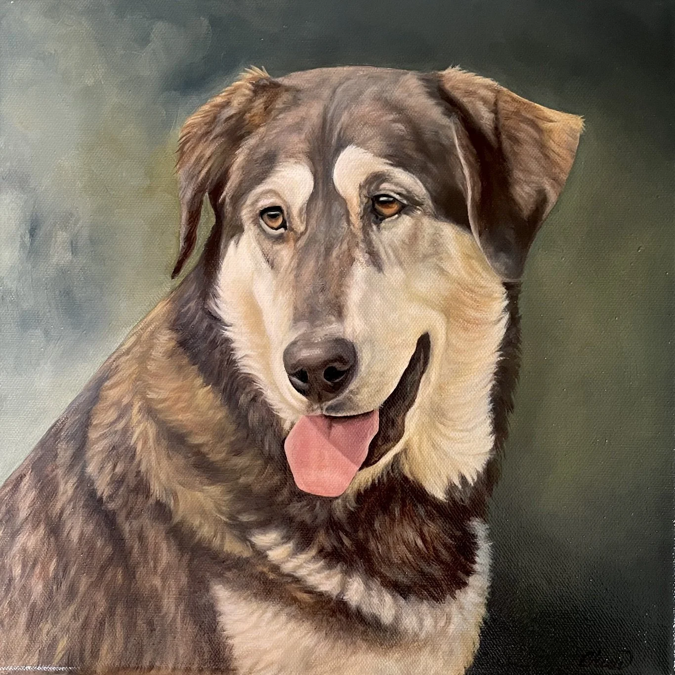 Mayday German Shepard mix oil on canvas by Cherie Dimsey