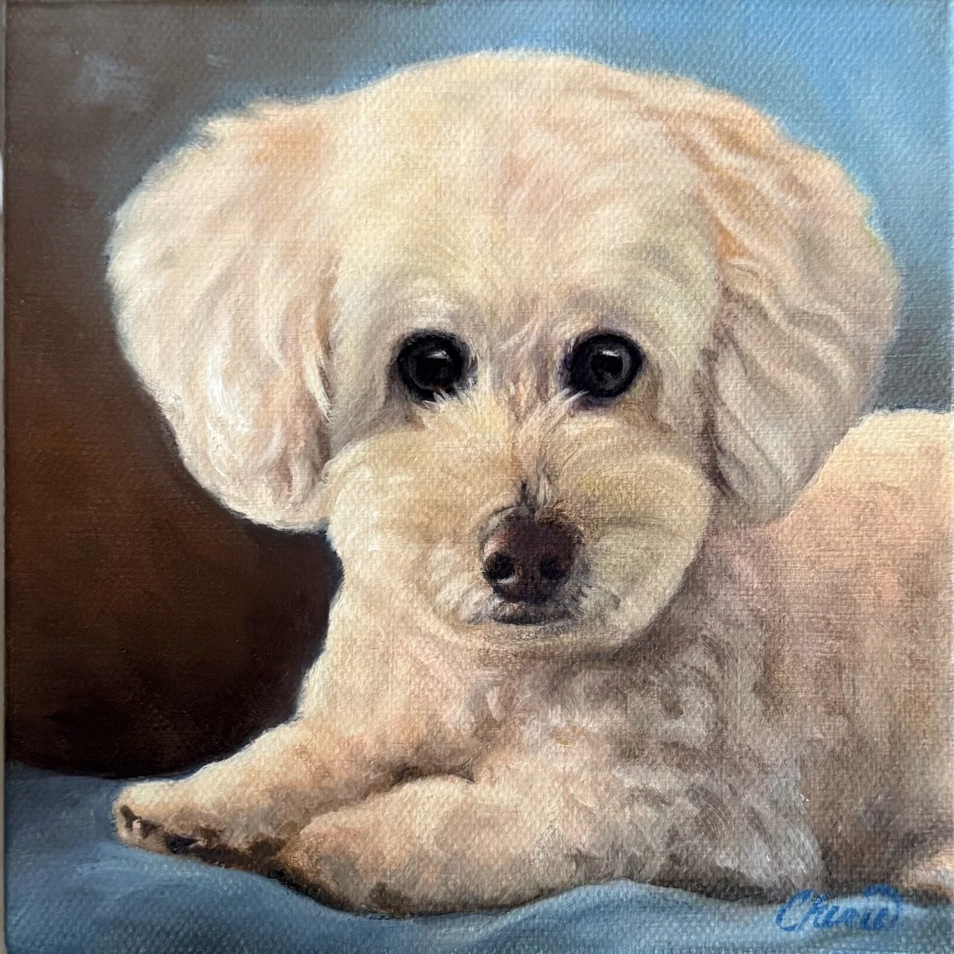Mizzy painted in oil by Cherie Dimsey