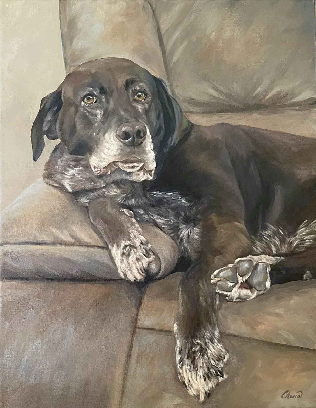 Rex the Chocolate Labrador Custom painting in oil by Cherie Dimsey