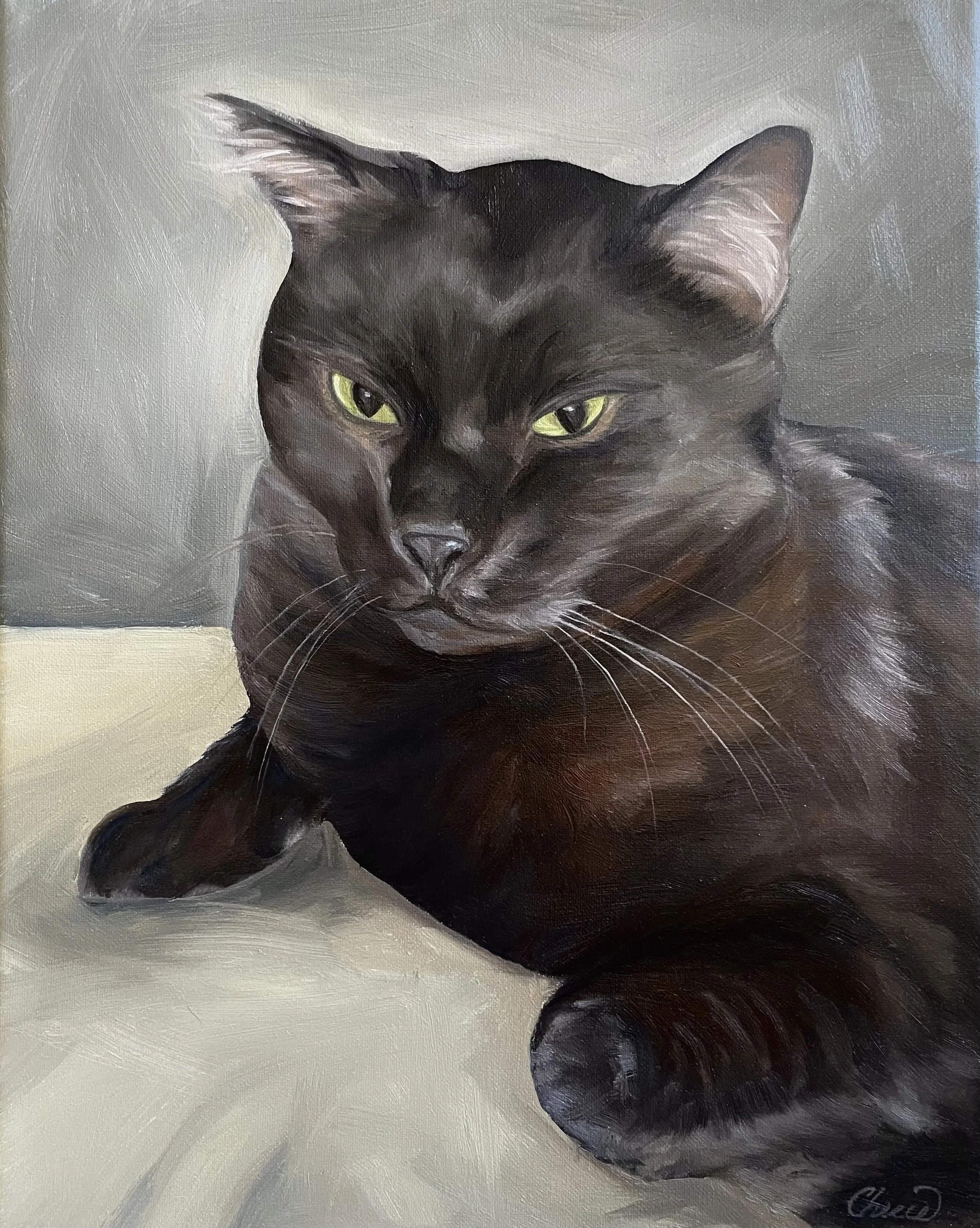 Custom oil pet portrait of a black cat by Cherie Dimsey