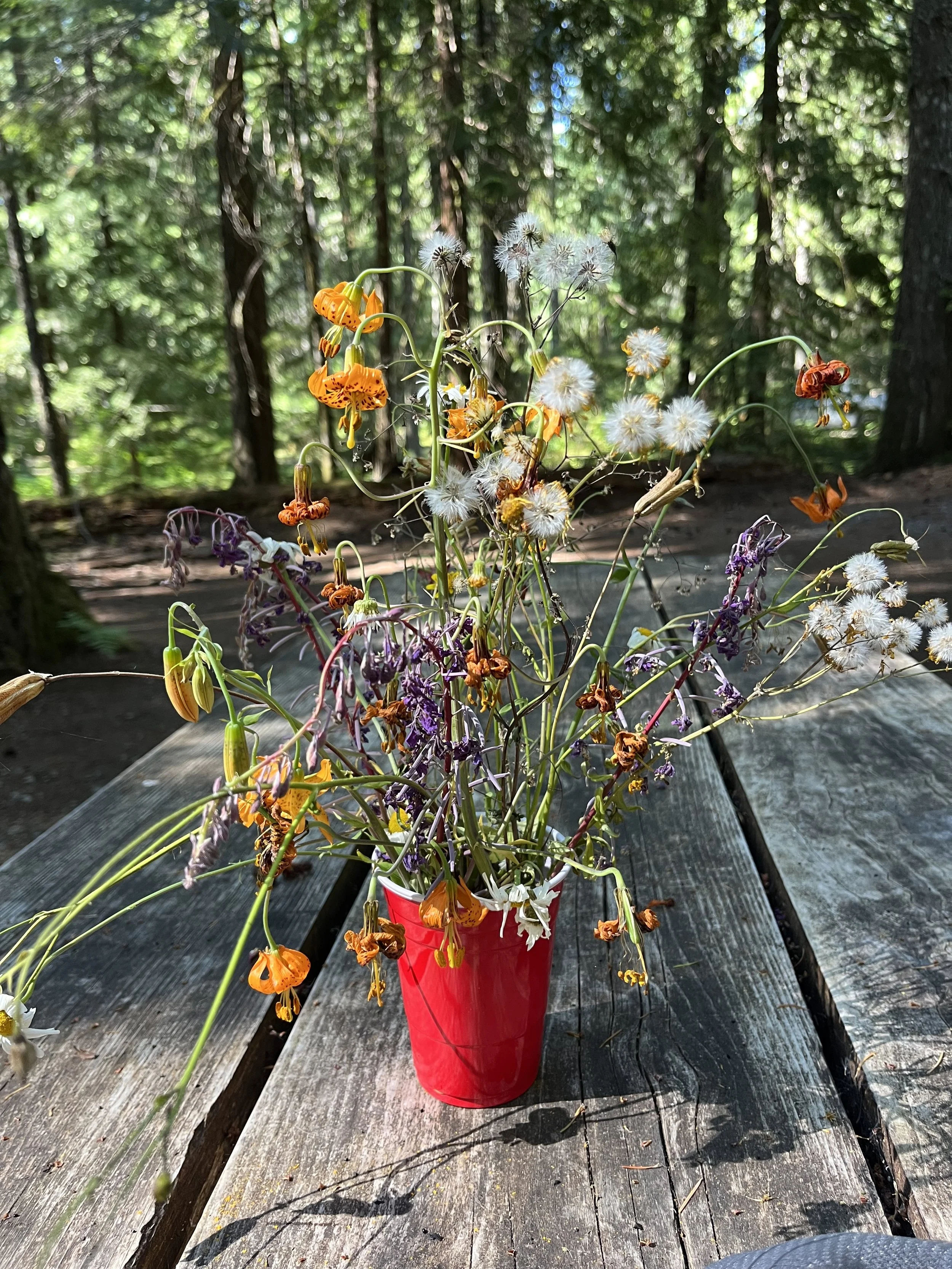 Wildflowers