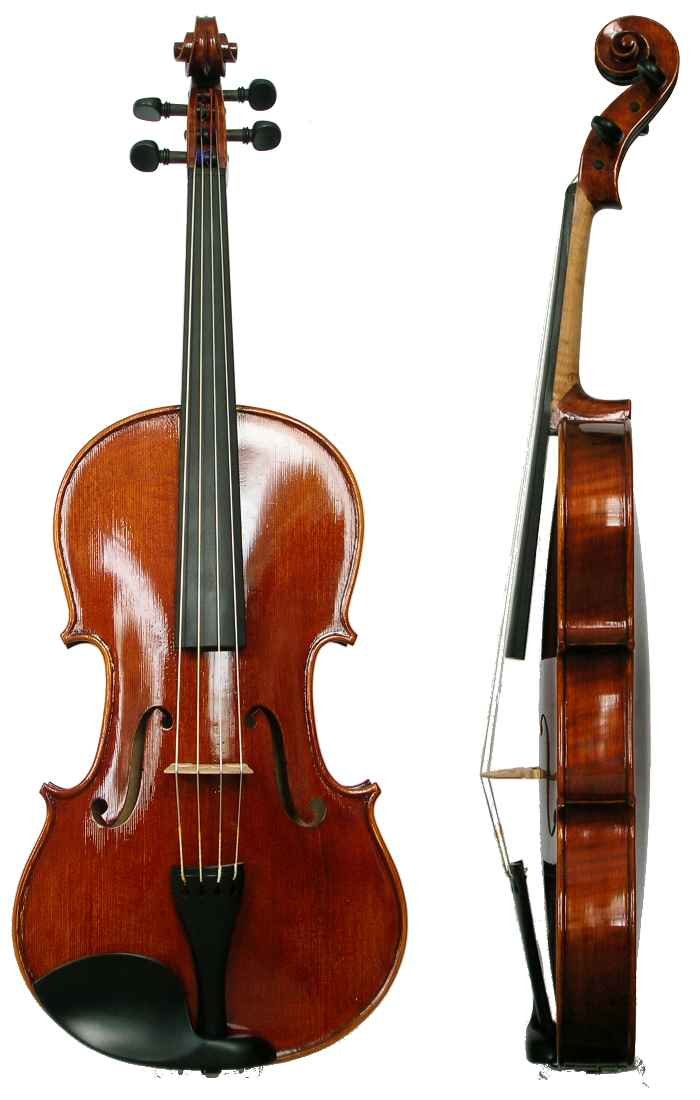 Viola Lease 14" - 12 months