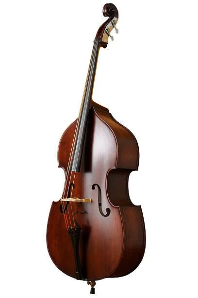Bass Lease 1/2 - 6 months