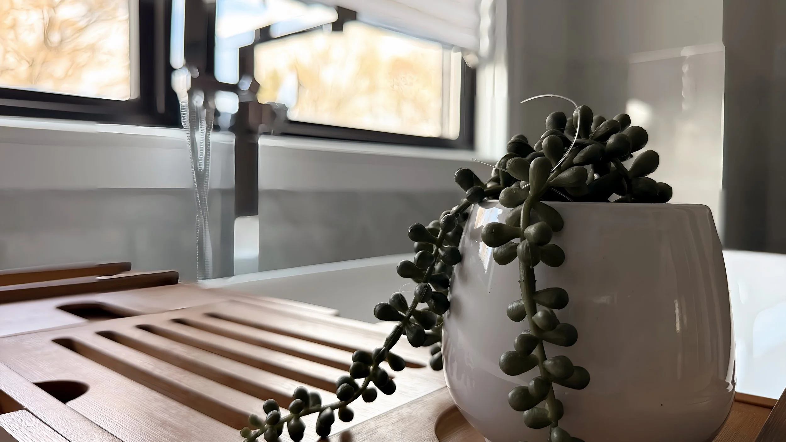 A close-up of a potted plant with round, grayish-green leaves in front of a window with an open blind, a wooden slatted tray, and some papers or notebooks on a wooden surface.