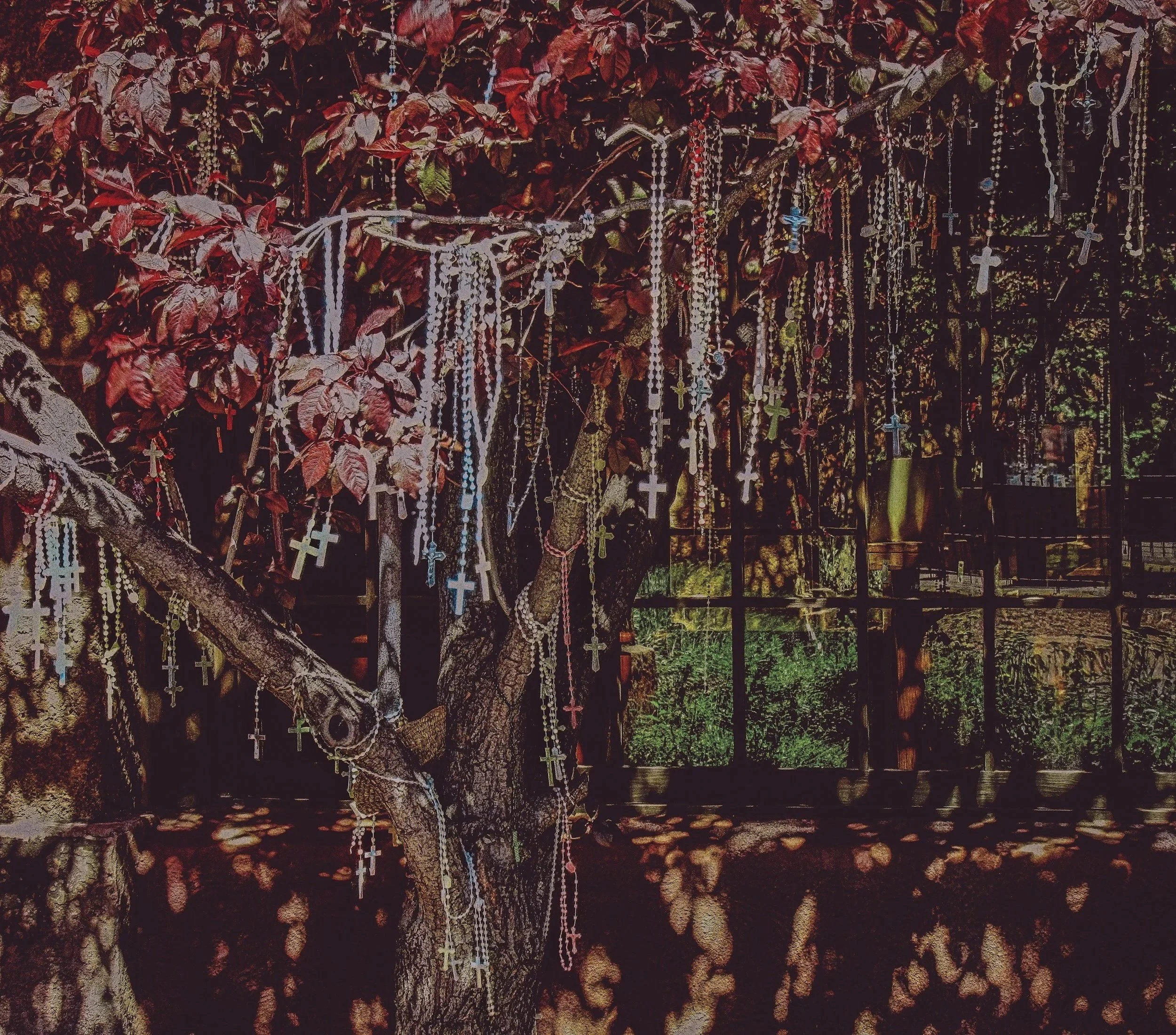 Tree with numerous rosary necklaces hanging from the branches.