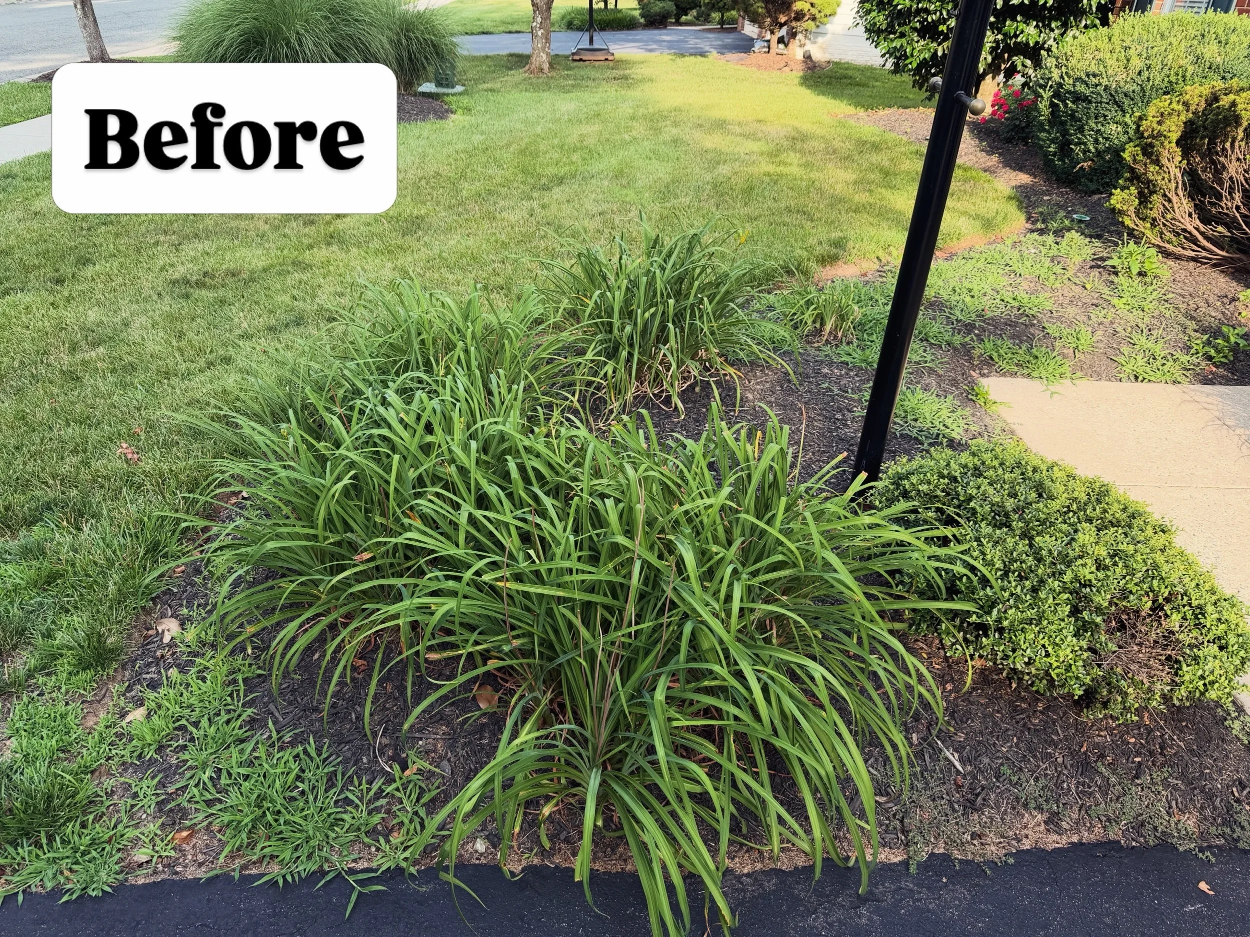 Colors premium weeding removal for single family houses