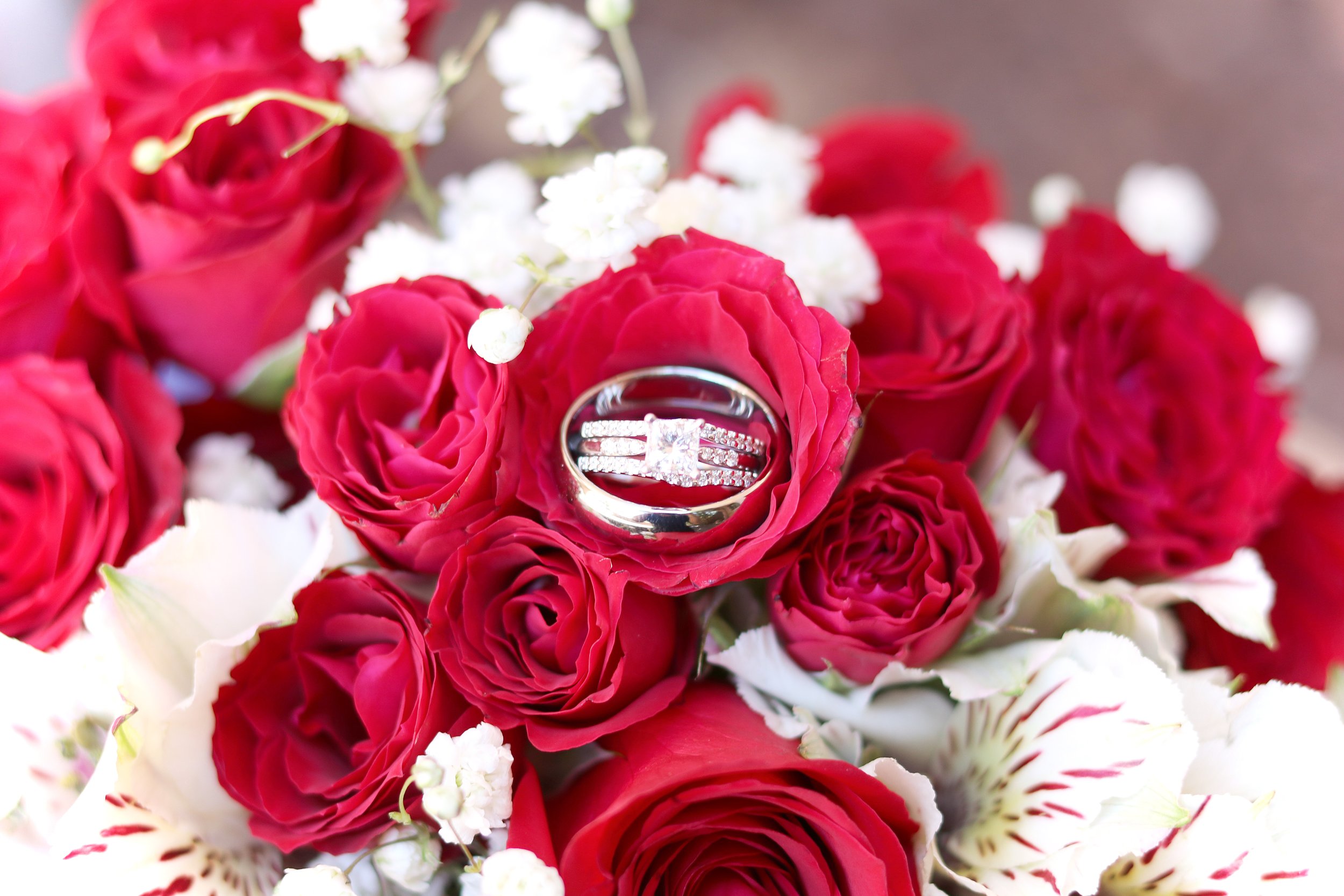 Wedding Sample