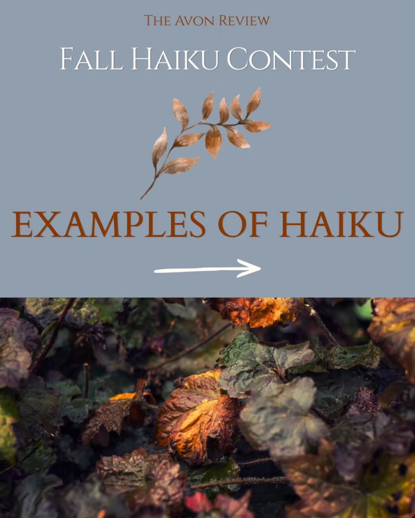 🍂🍁 What makes a great haiku? A single moment and a vivid image. 🍁🍂

These examples show us what we&rsquo;re looking for in our Fall Haiku Contest!

We want poems that capture the beauty and magic of one moment. Make us see the familiar in a new w
