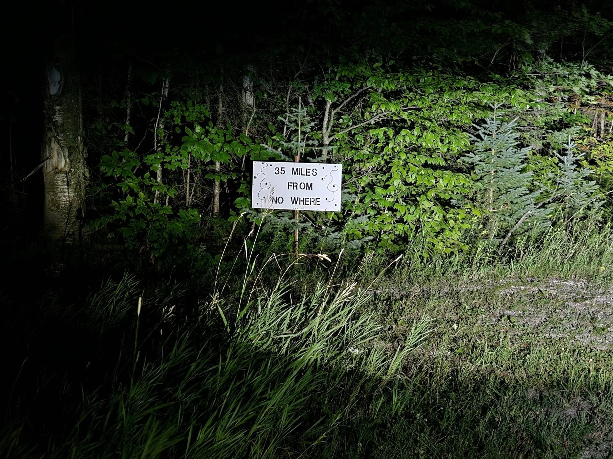 Nighttime image of lush green trees and grass with a sign in the middle that reads '35 MILES FROM NO WHERE'.