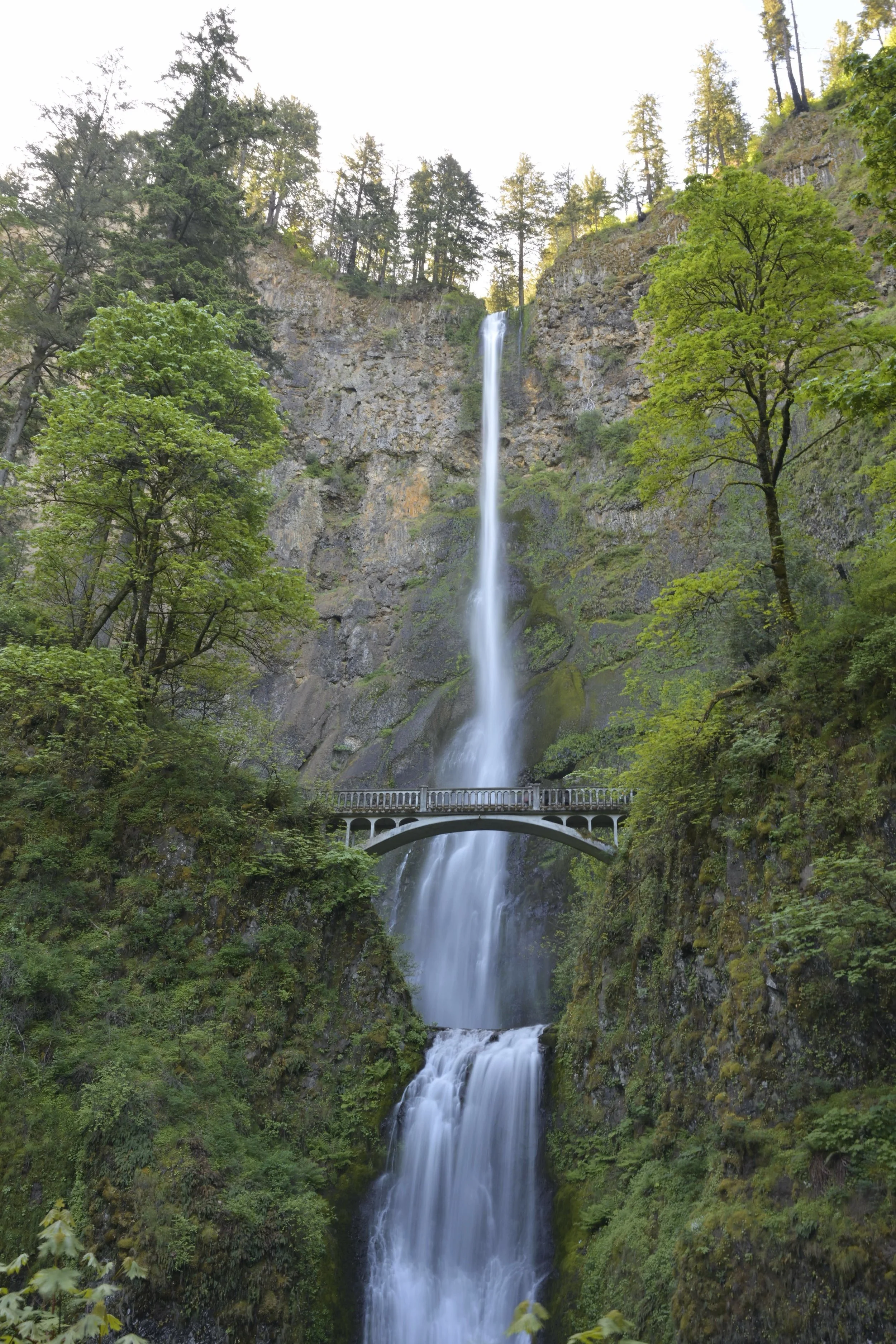 Cascading Wonders
