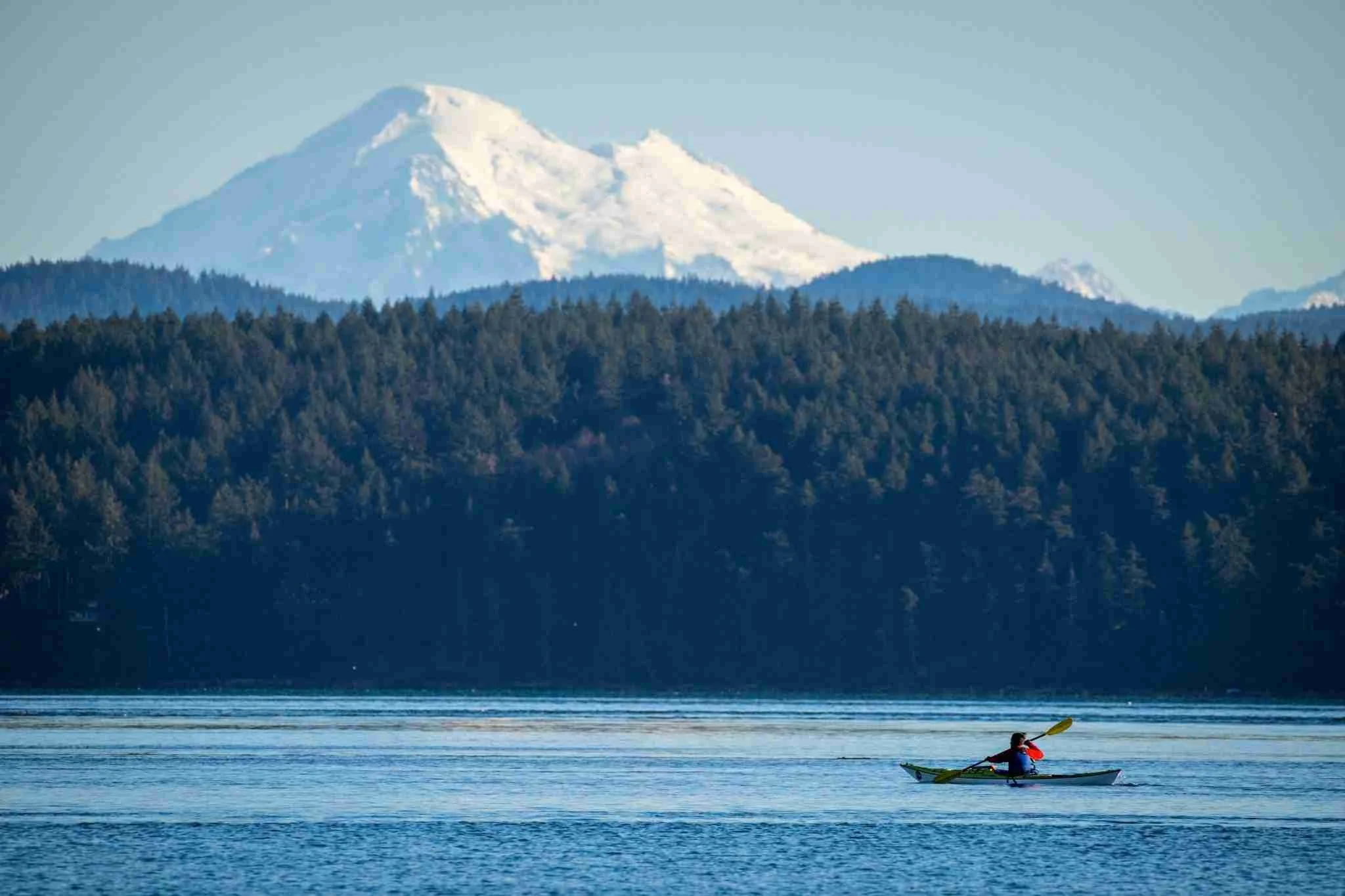 Award Winning - Taking collective stewardship of the State of Washington