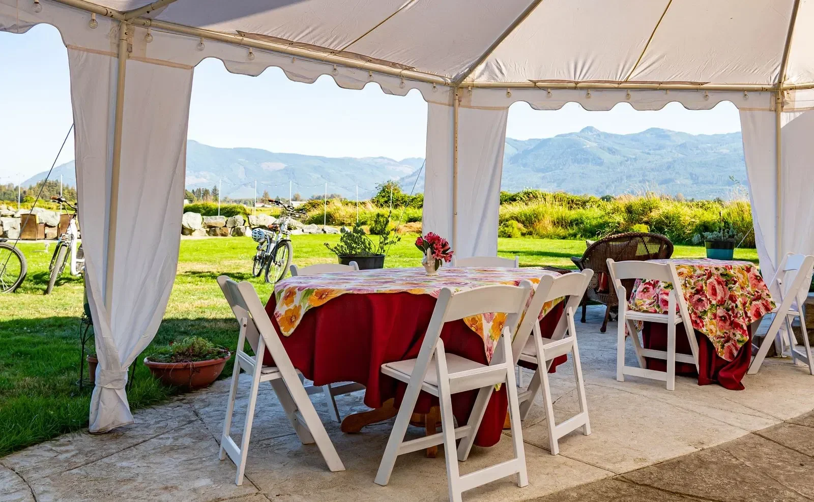 Willowbrook Manor serves delightful tea on a scenic farm in Sedro Woolley