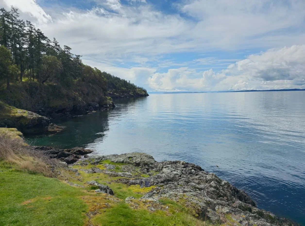 How to be carefree and CAR-free when you visit the San Juan Islands