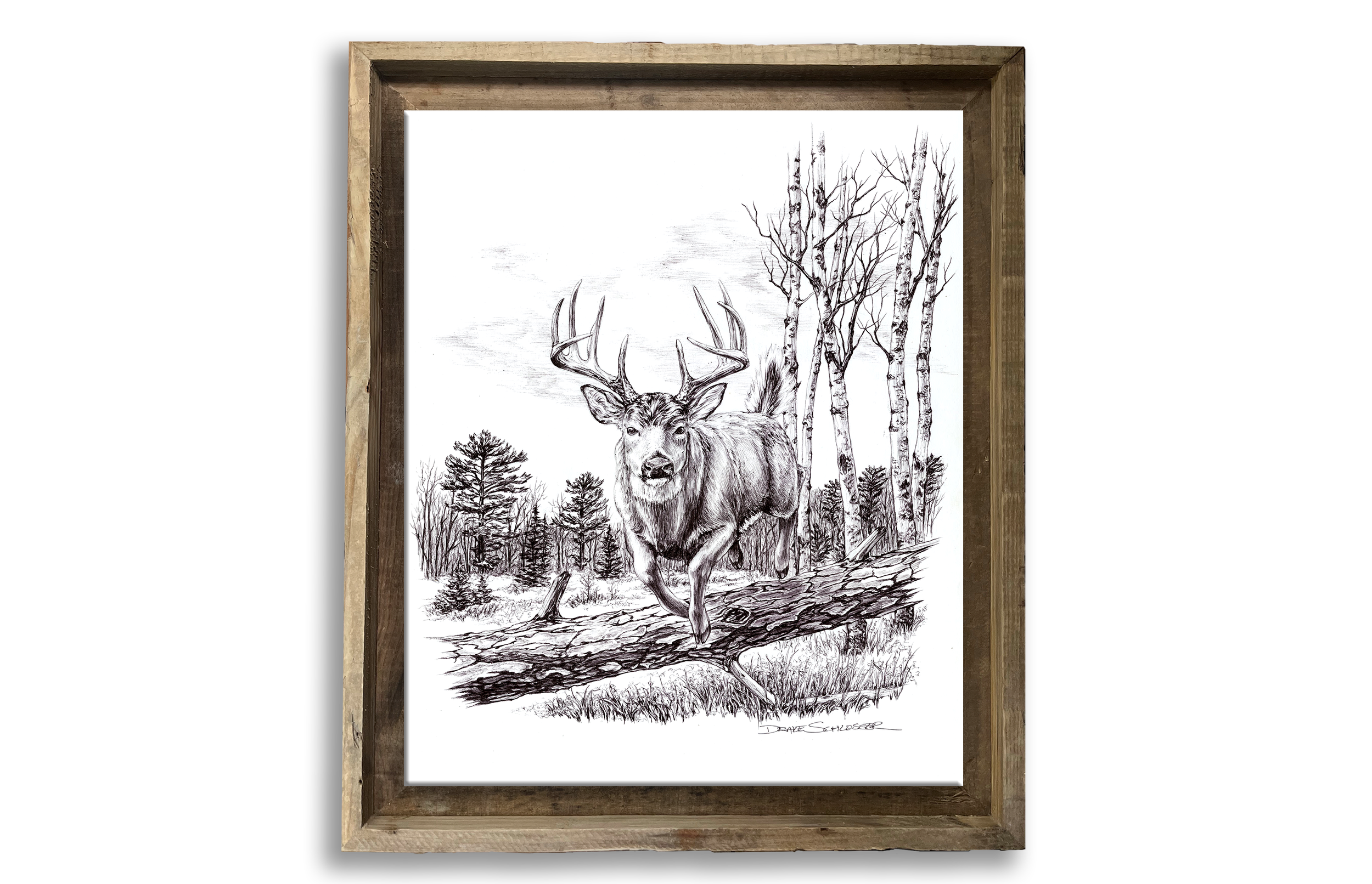 Framed Stretched Canvas Print