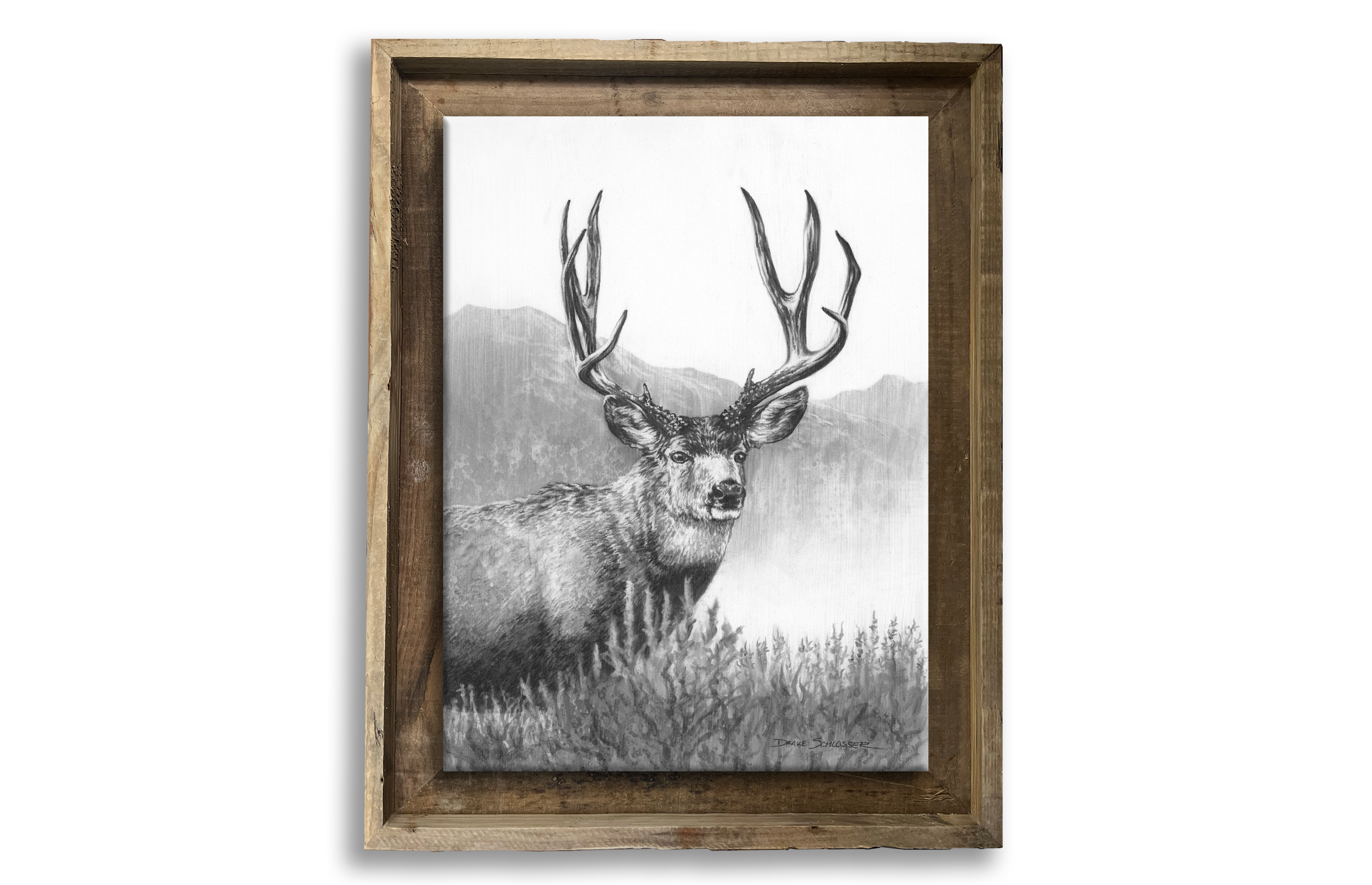 Framed Stretched Canvas Print