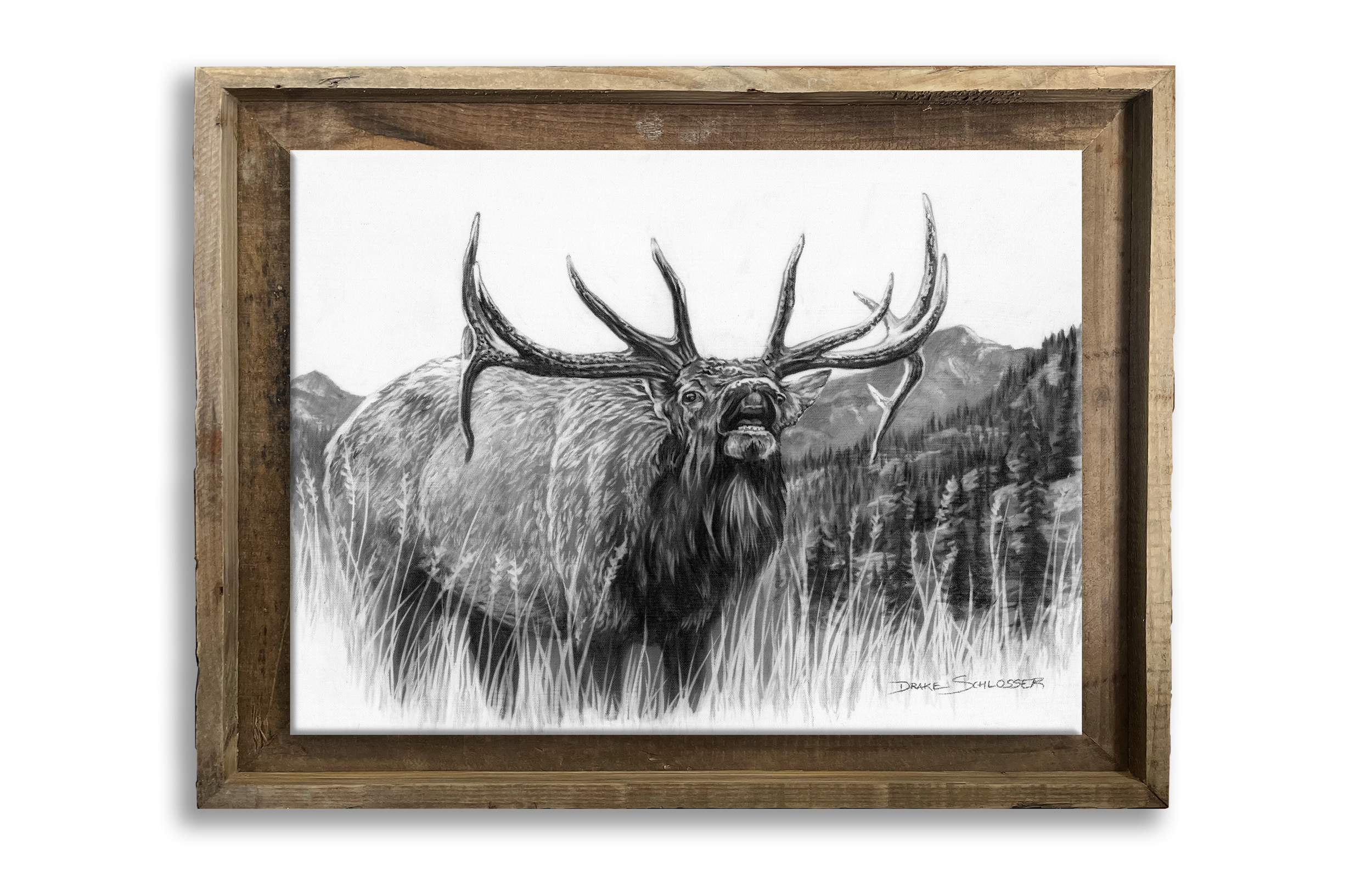Framed Stretched Canvas Print