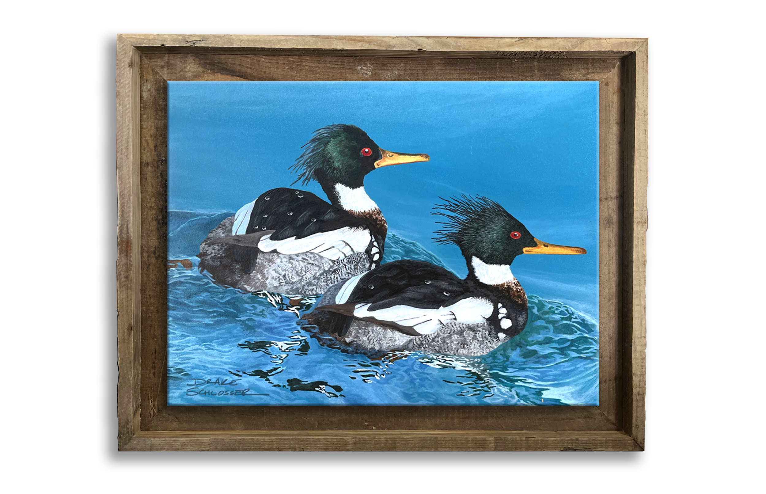 Framed Stretched Canvas Print