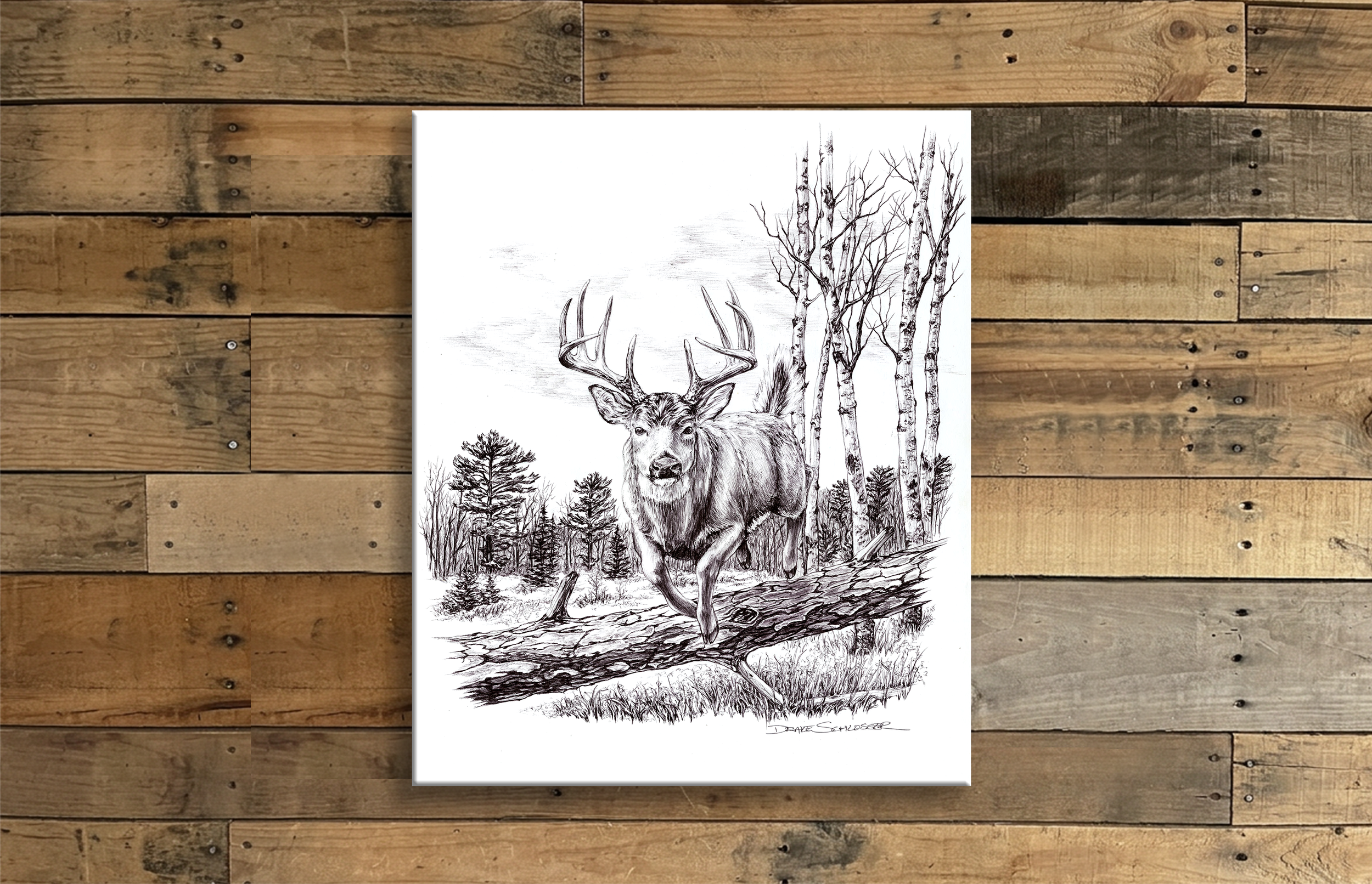 Stretched Canvas Print