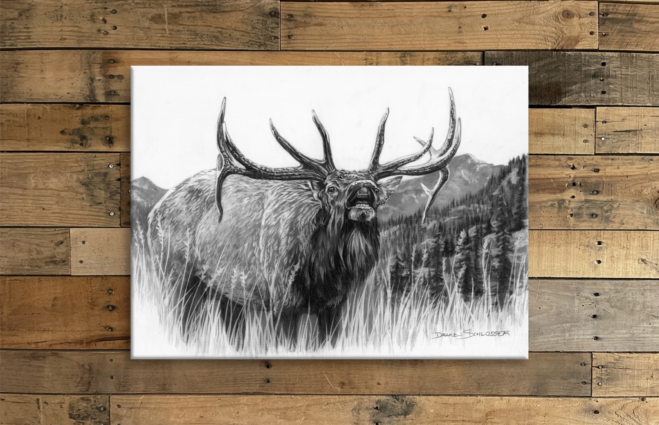 Stretched Canvas Print