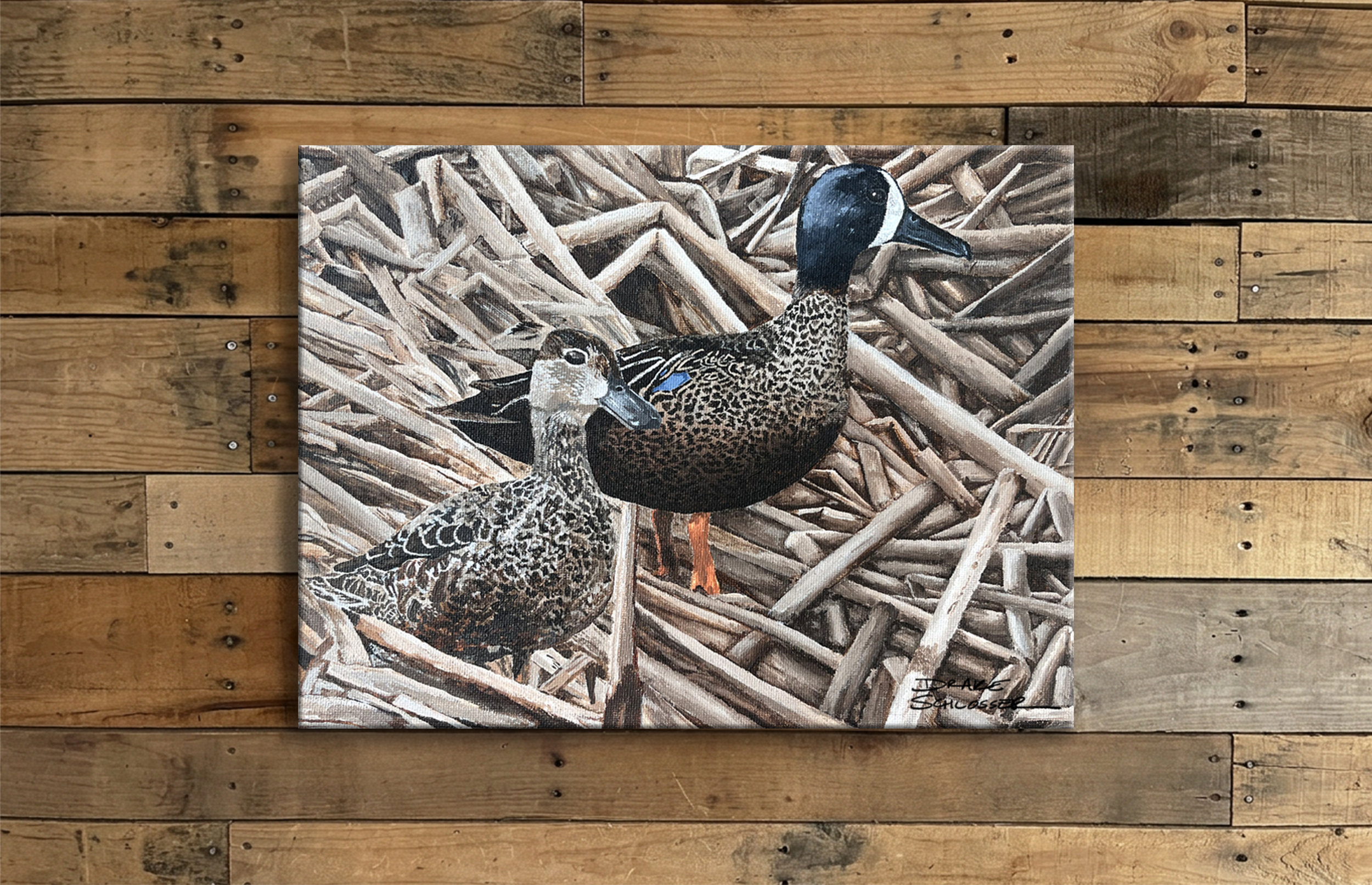 Stretched Canvas Print