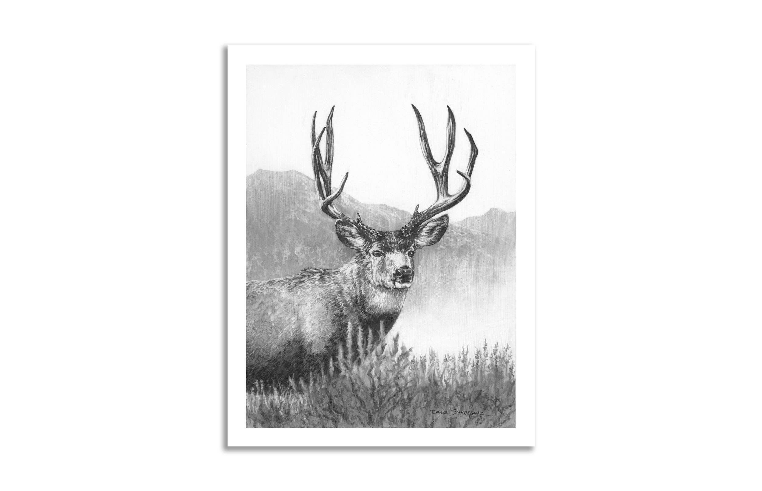 Matte Paper Print