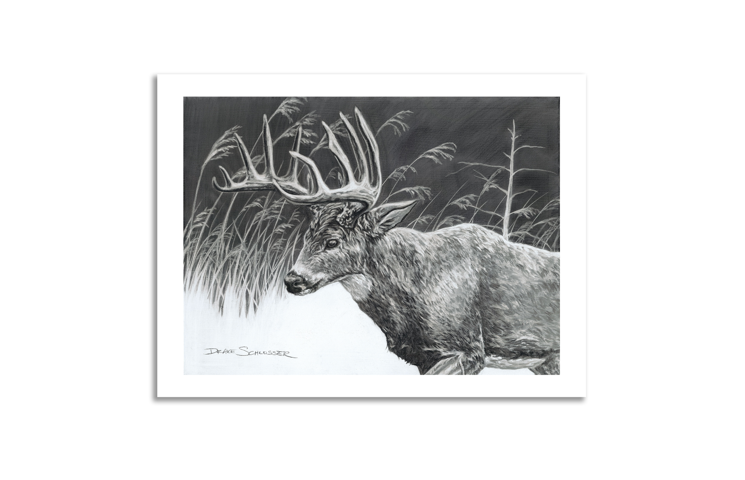 Matte Paper Print