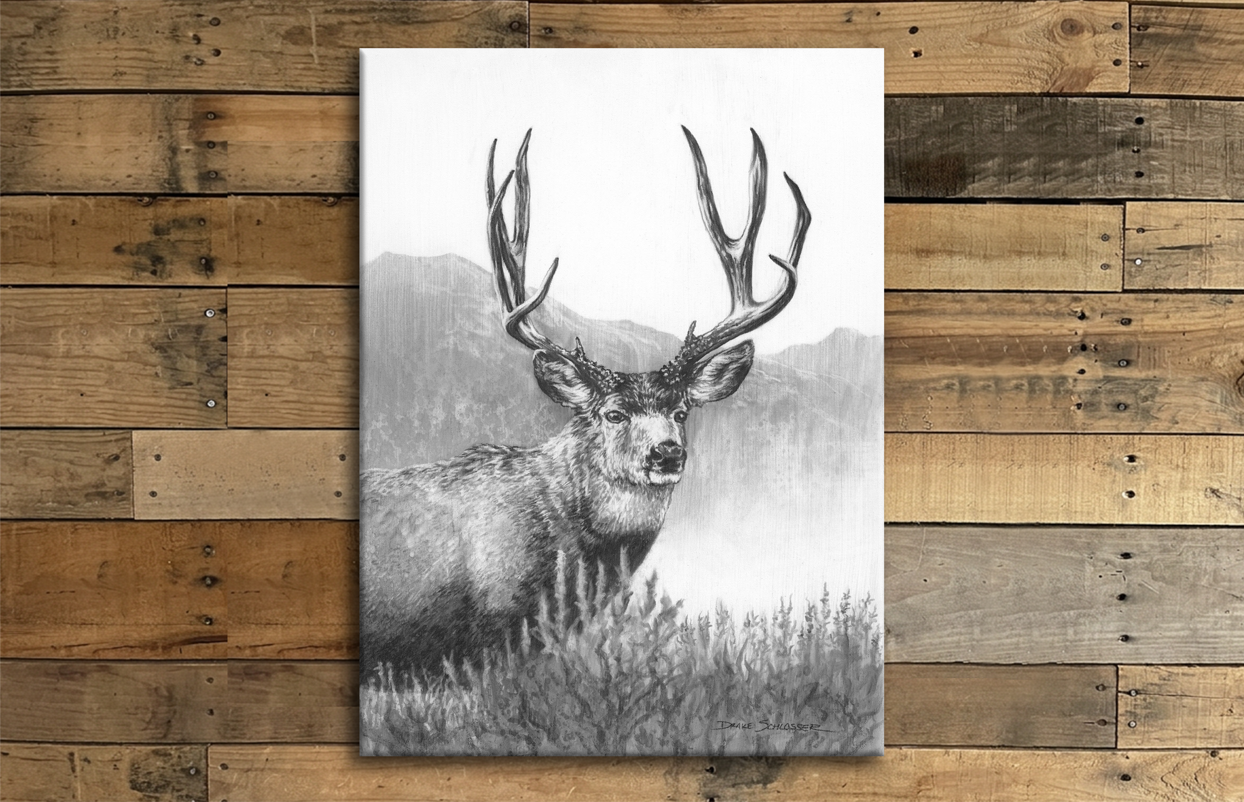 Stretched Canvas Print