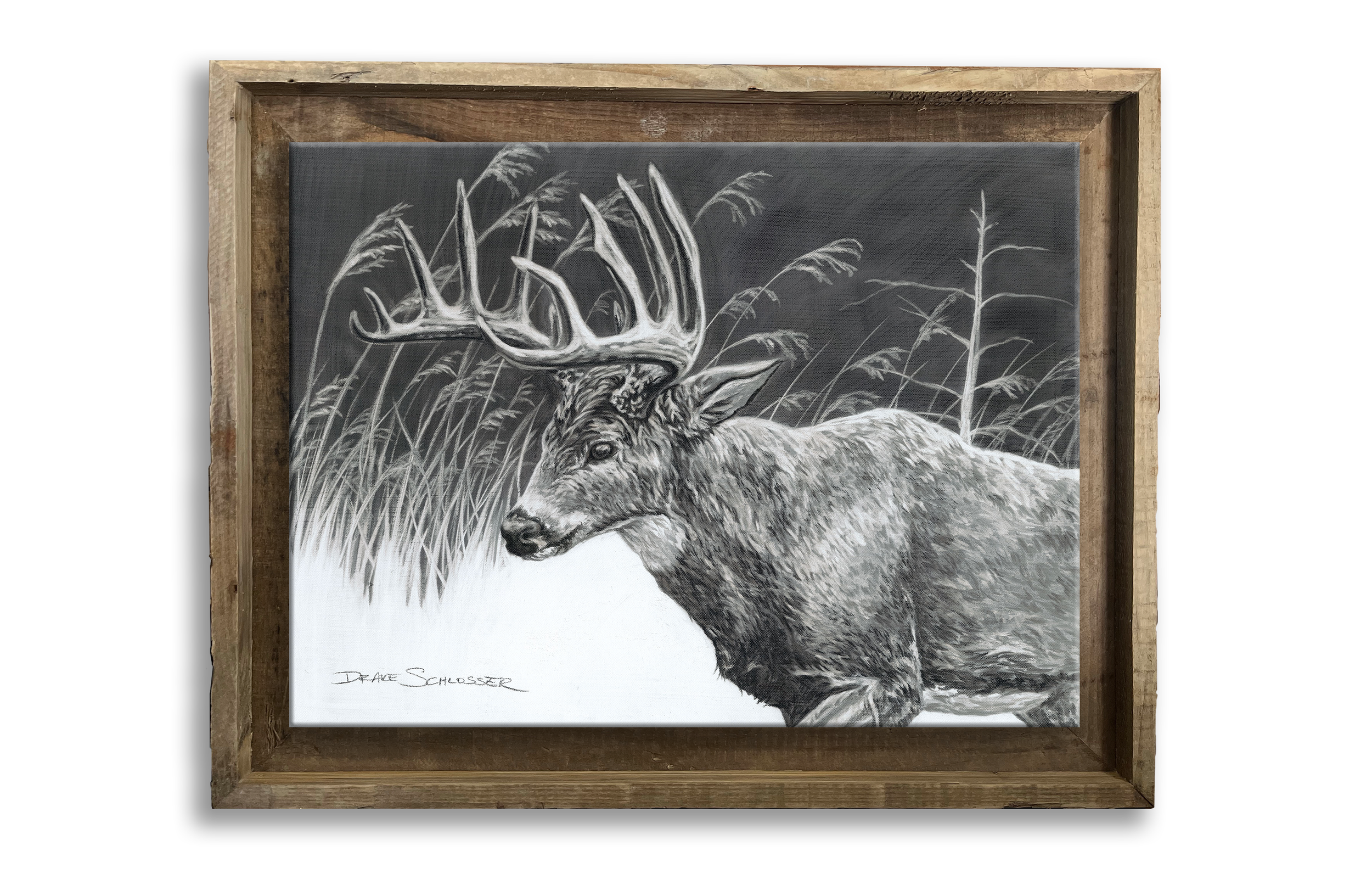 Framed Stretched Canvas Print